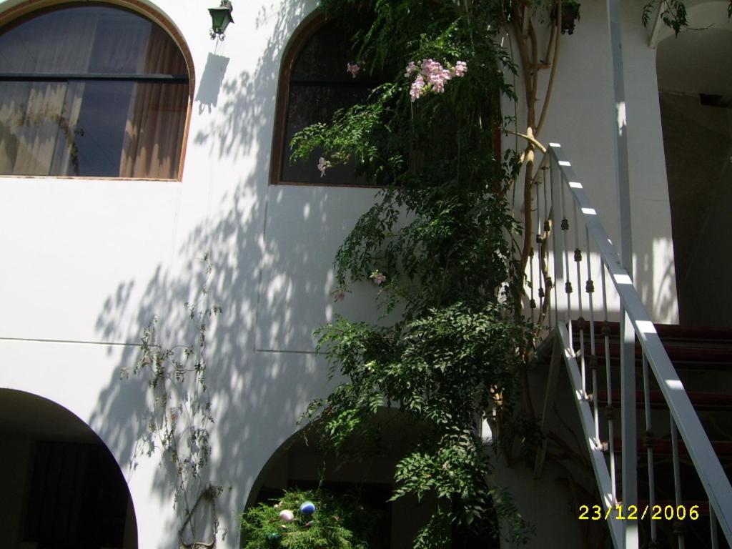 Photo 73