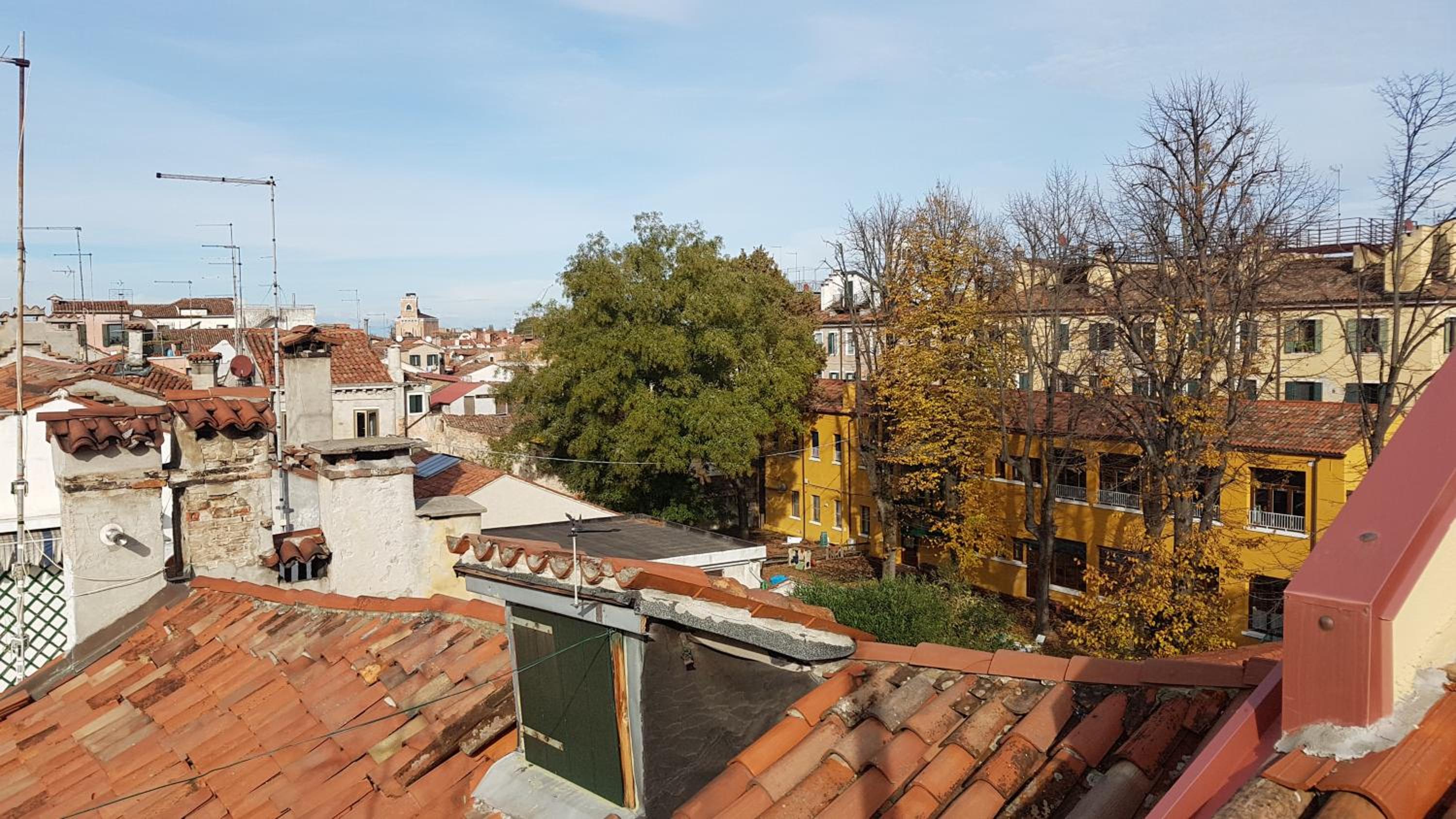 roof