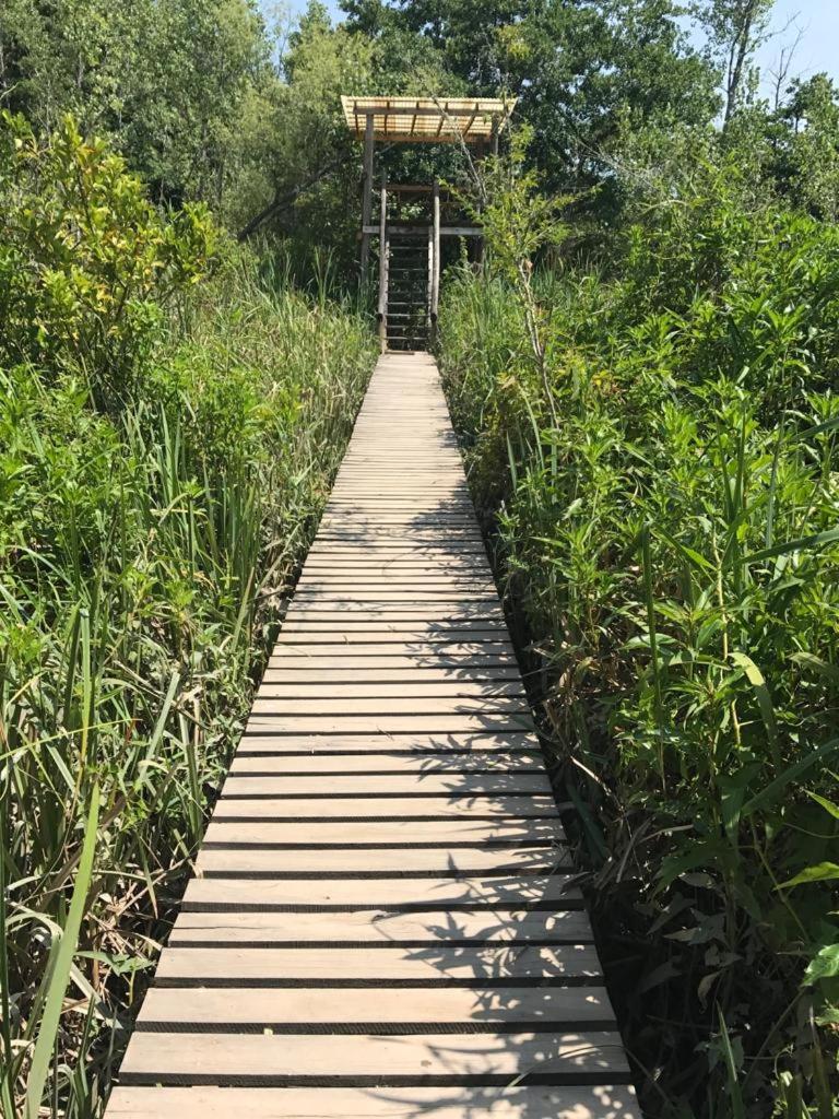Cabaña en el Delta Arroyo Pajarito a 20 minutos de navegación