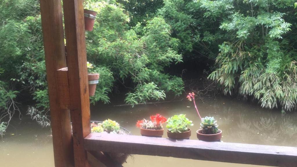 Cabaña en el Delta Arroyo Pajarito a 20 minutos de navegación