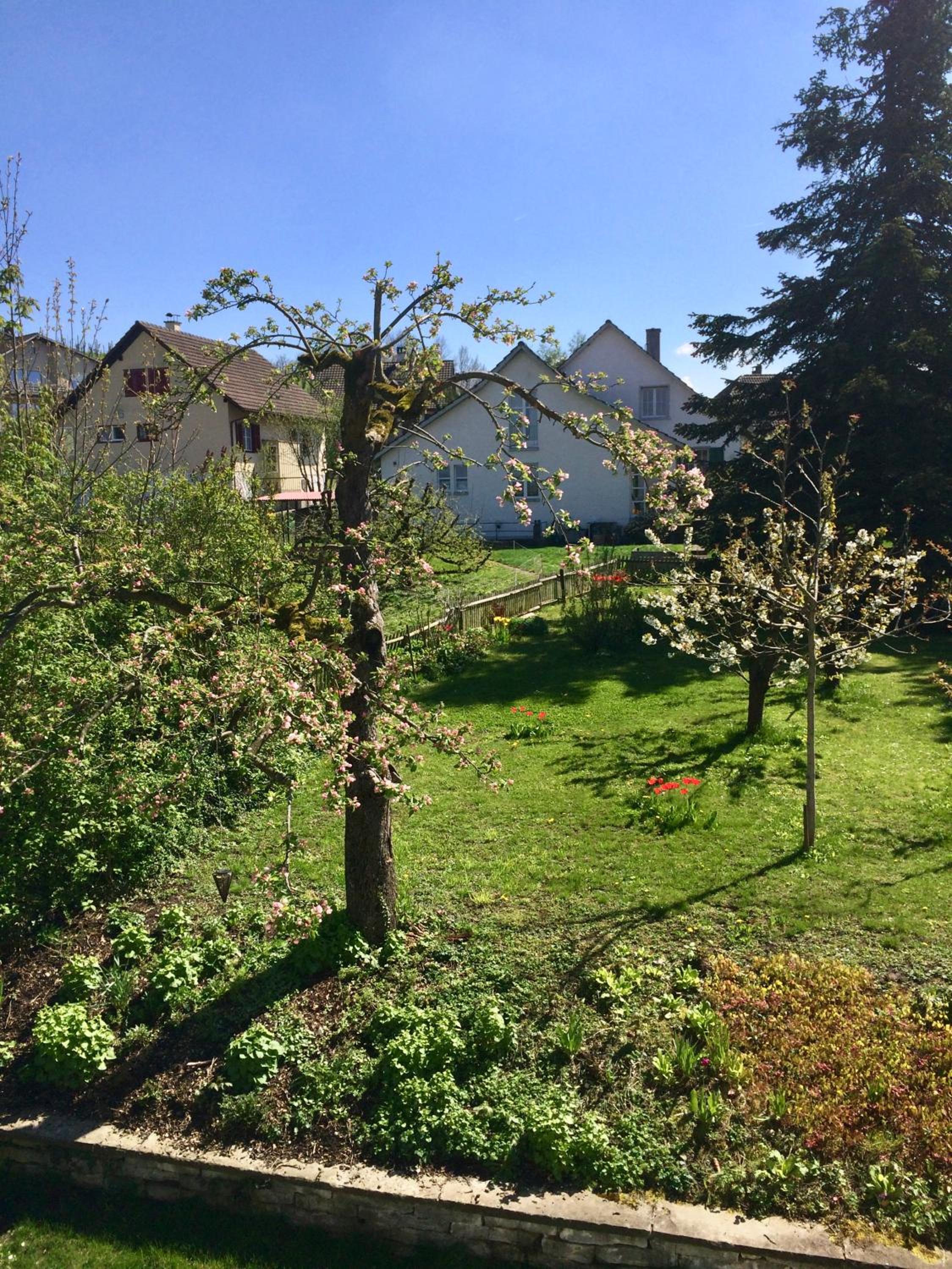 Guntli’s family Guesthouse