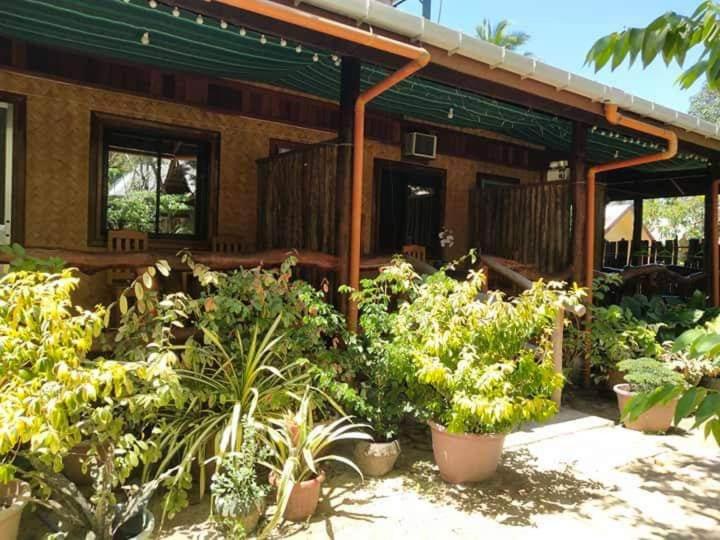 BING-VICE Tourist Inn