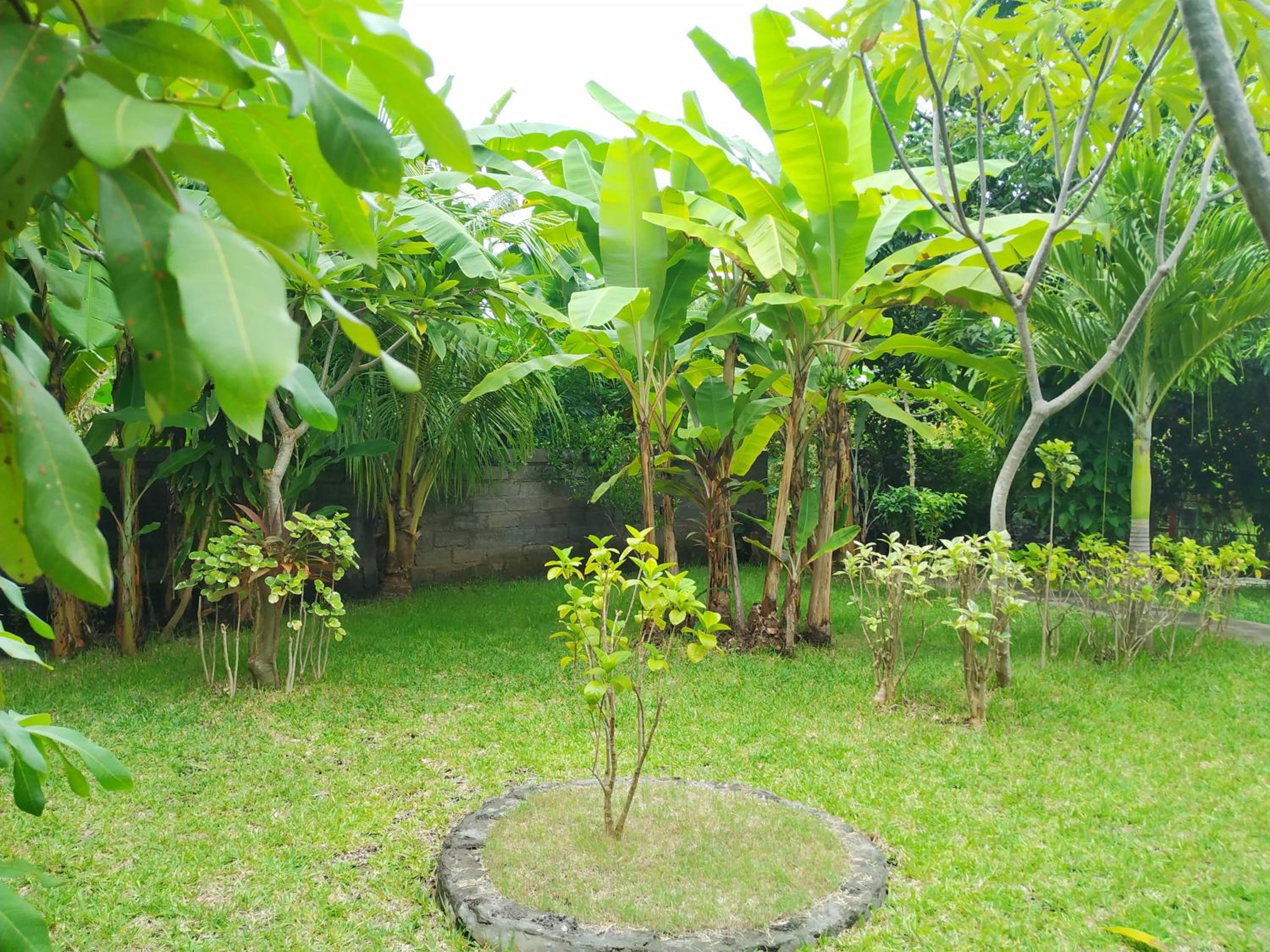 Photo 36