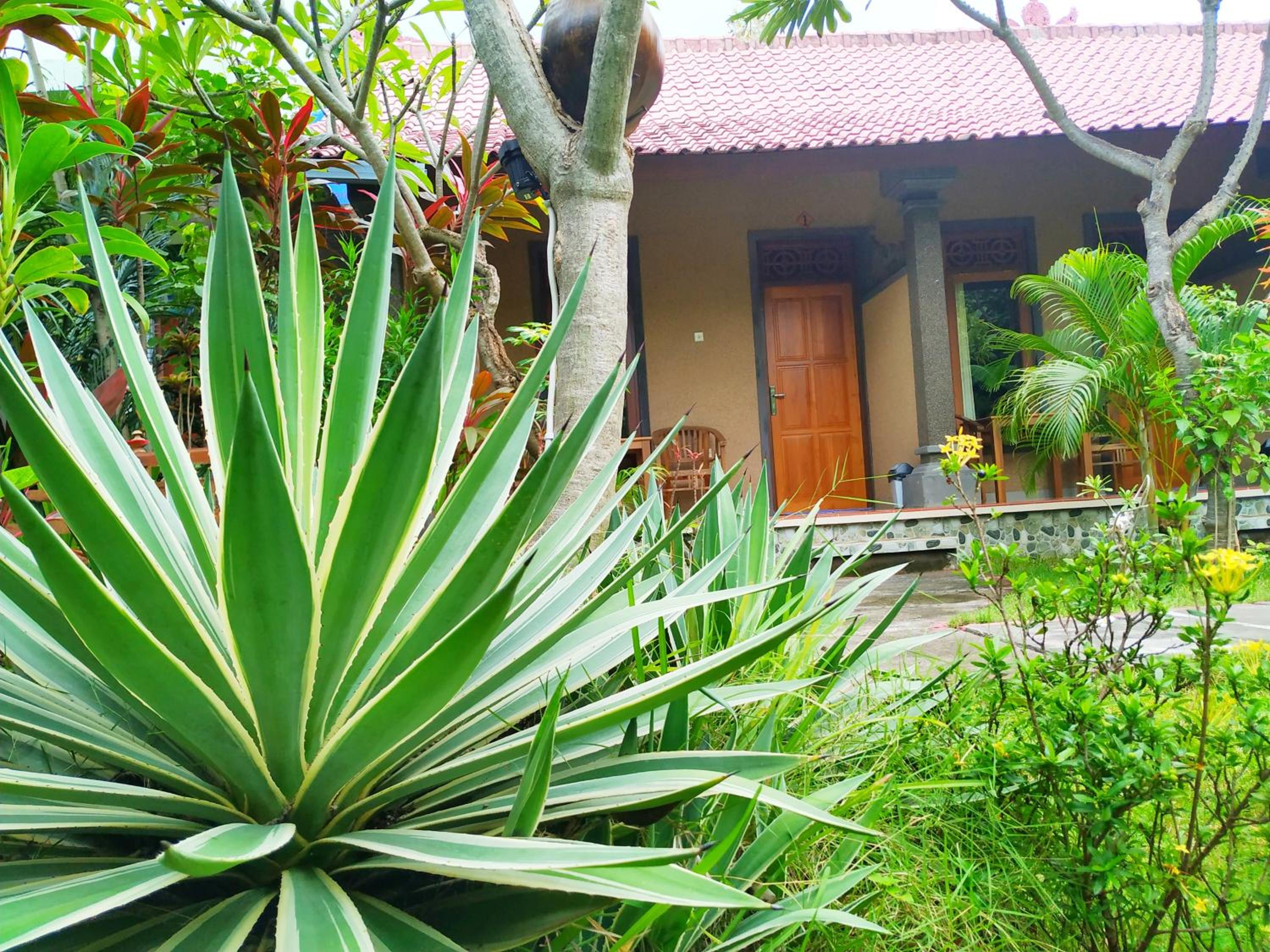Asih Homestay view 5