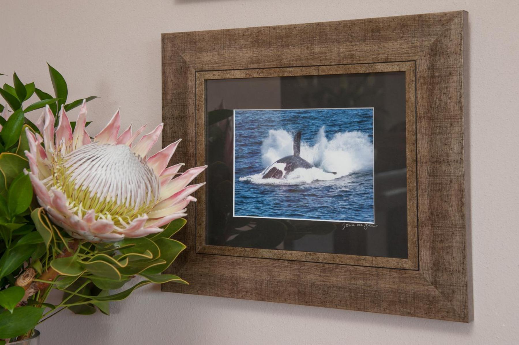 Whale Away Guest House