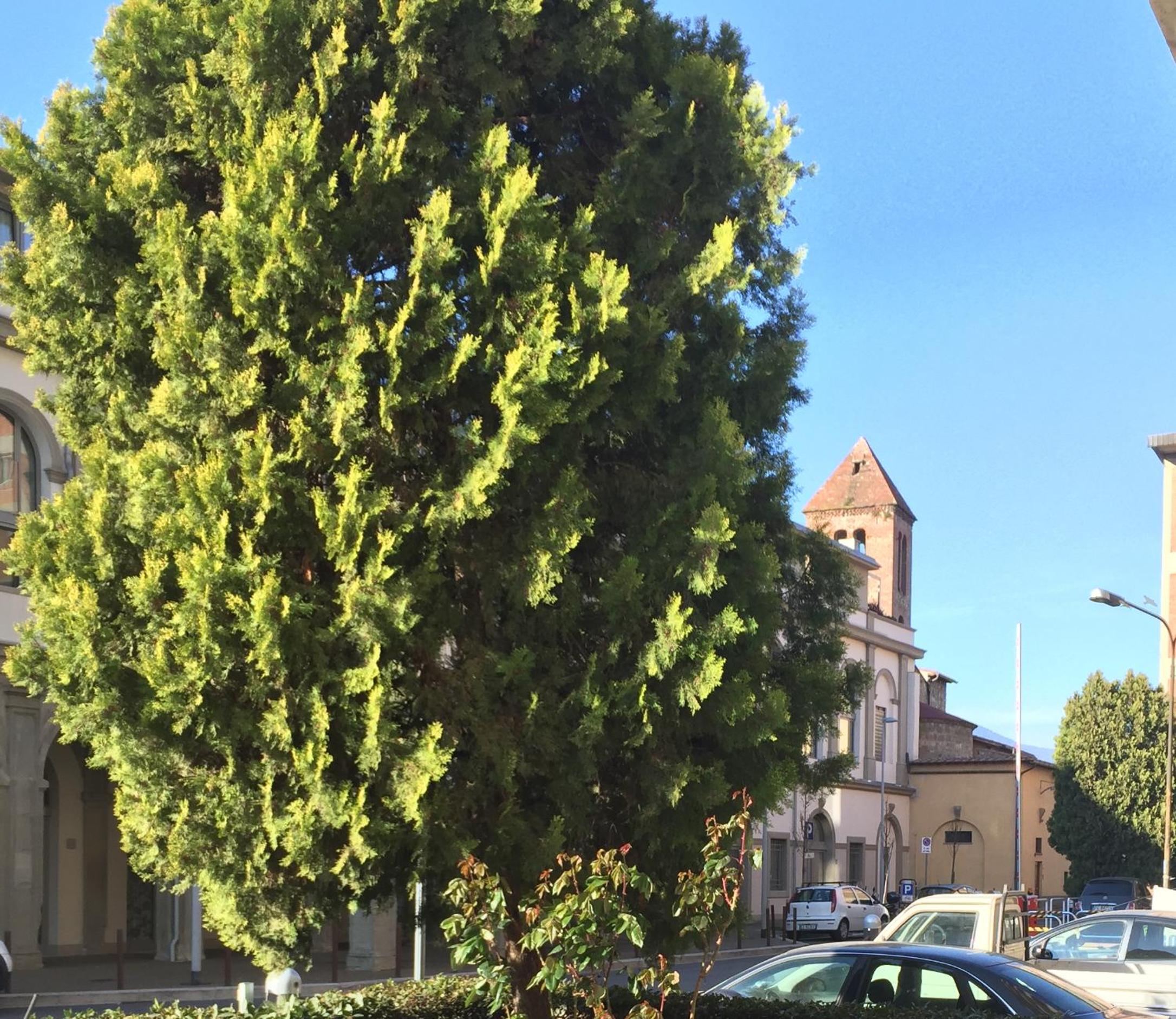 San Donato Flat