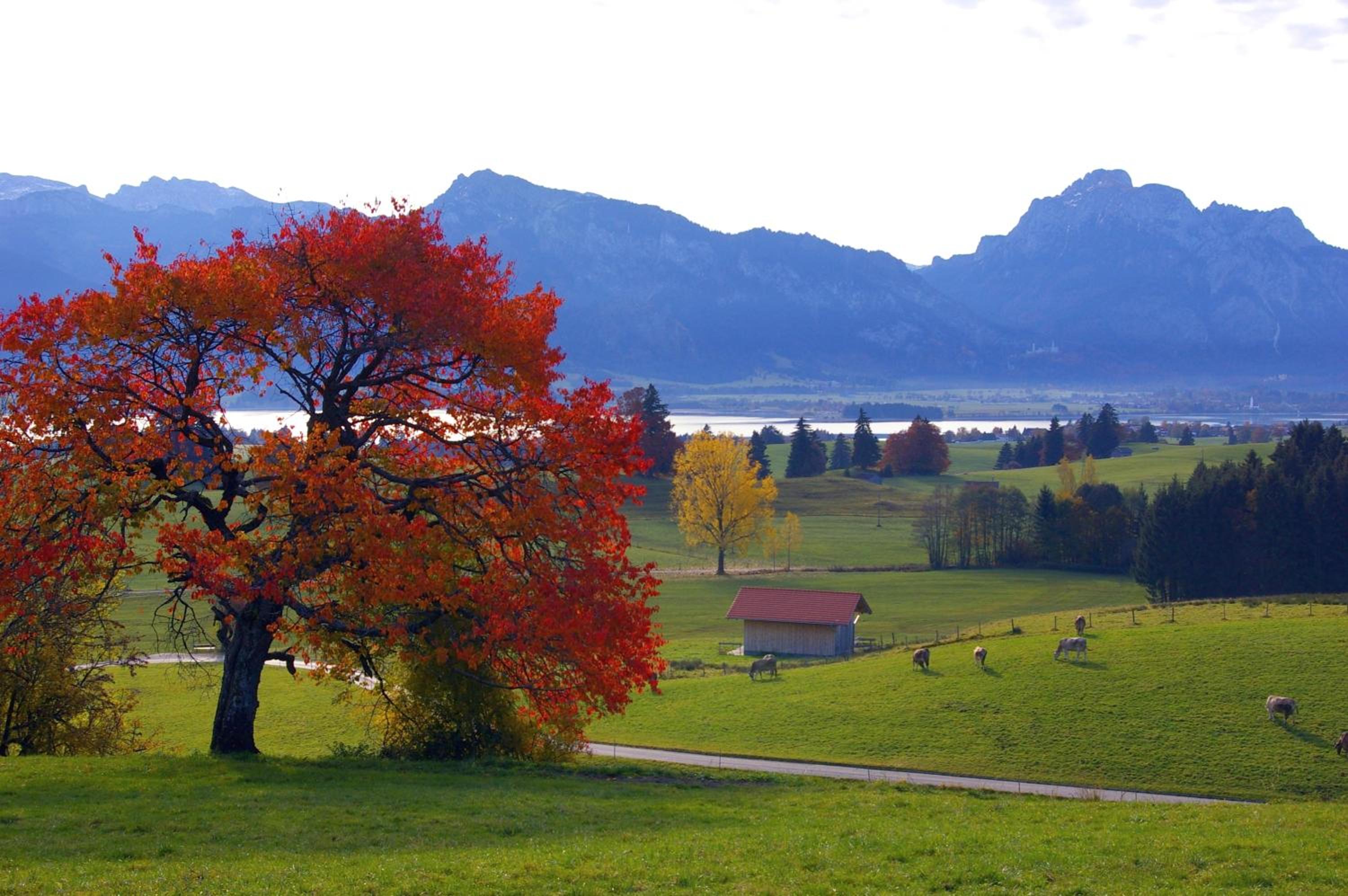 Haus Bergblick