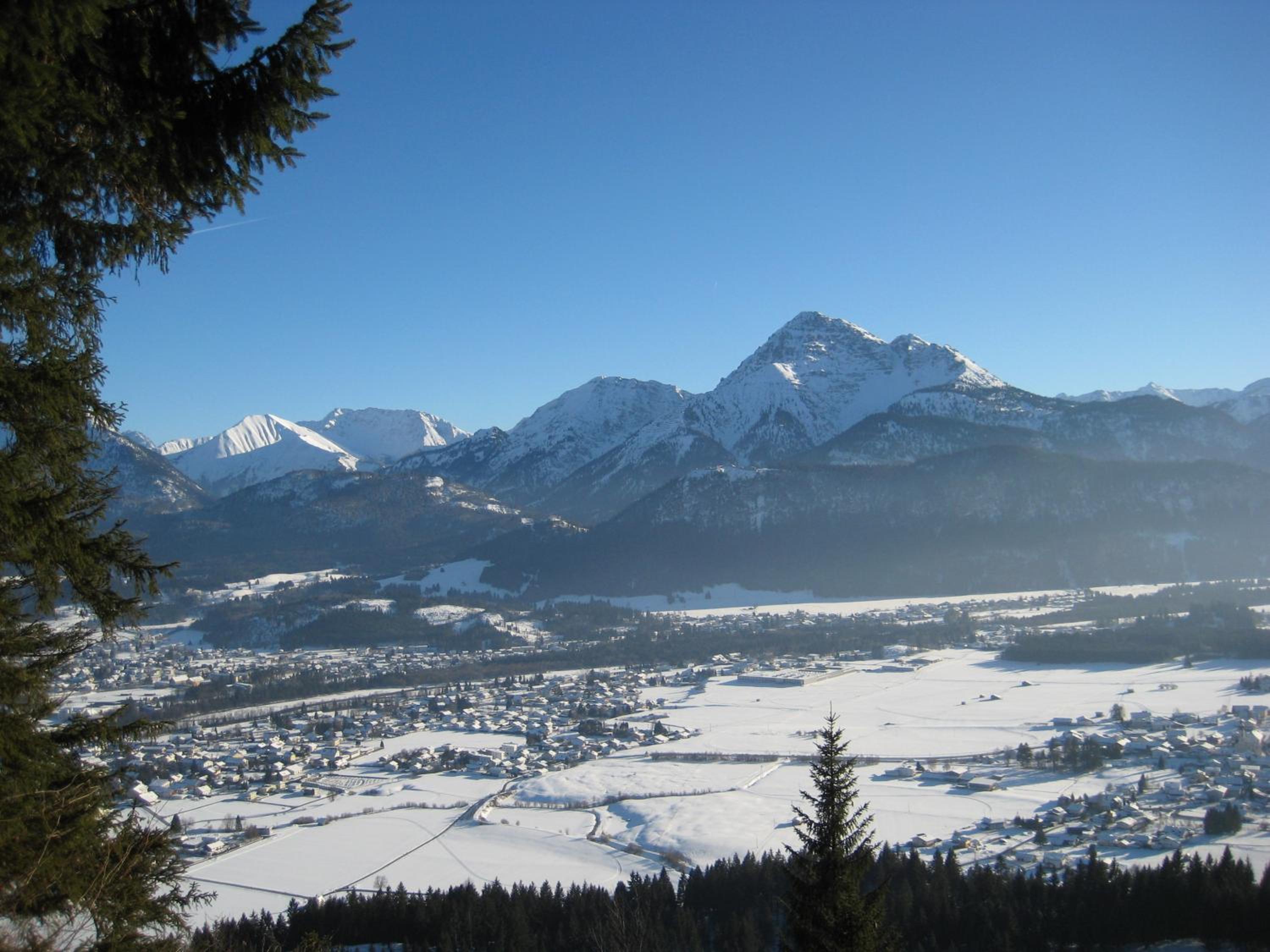 Photo 41