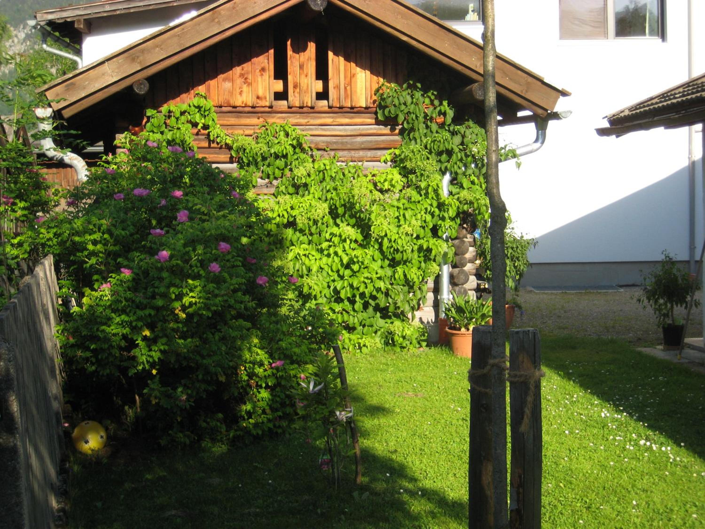 Photo 42