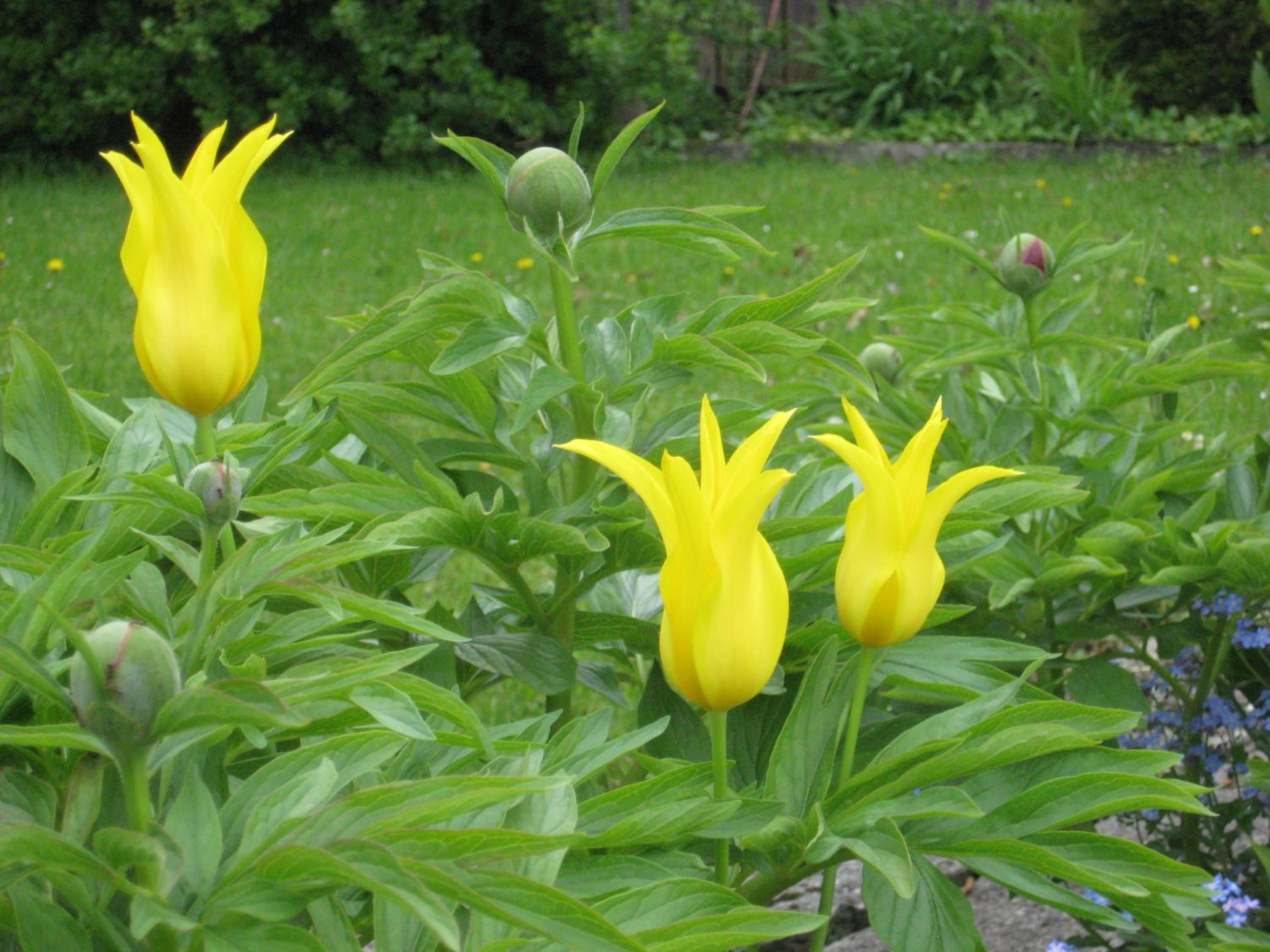 Photo 46