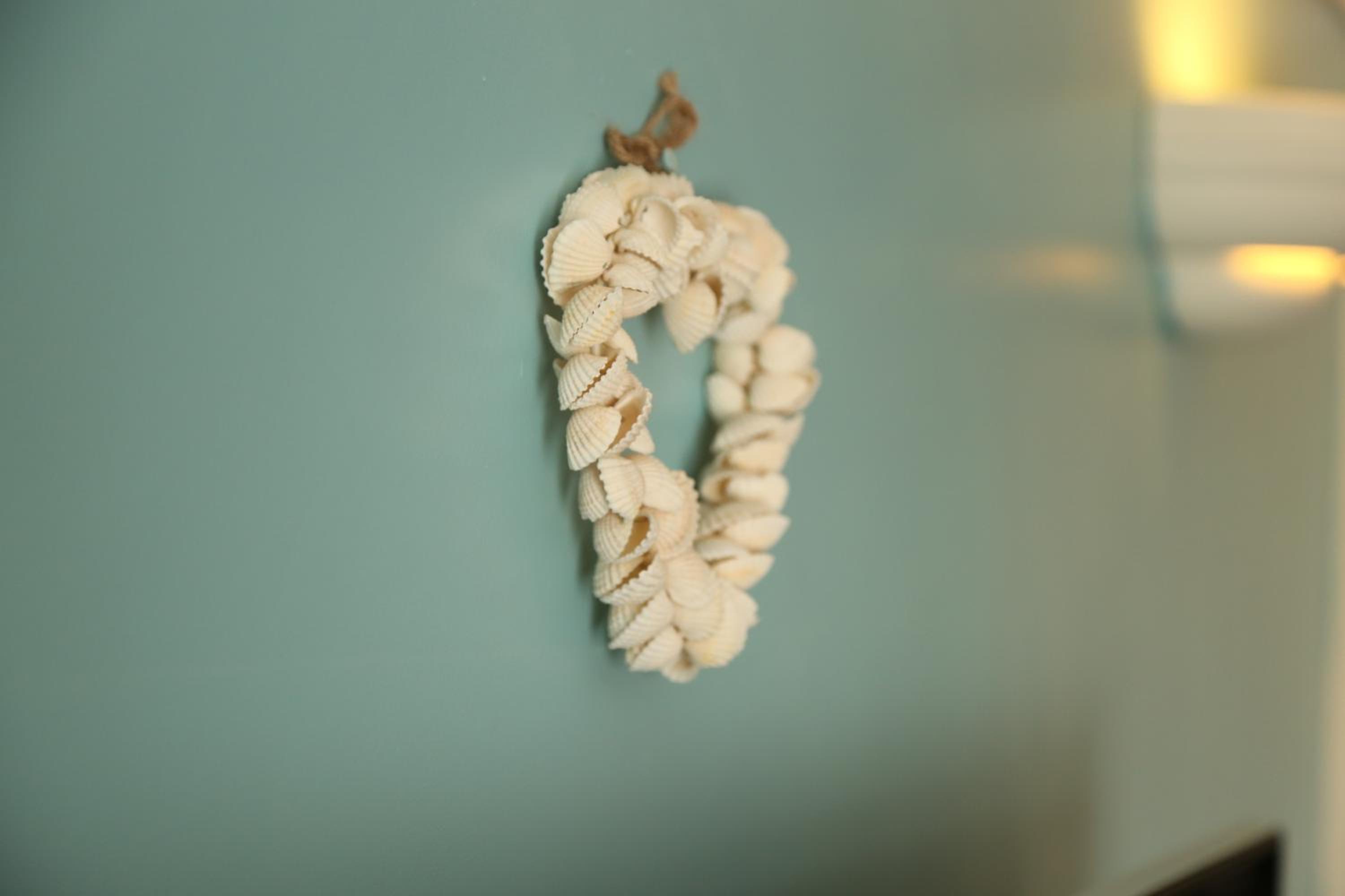 Seashells view 5