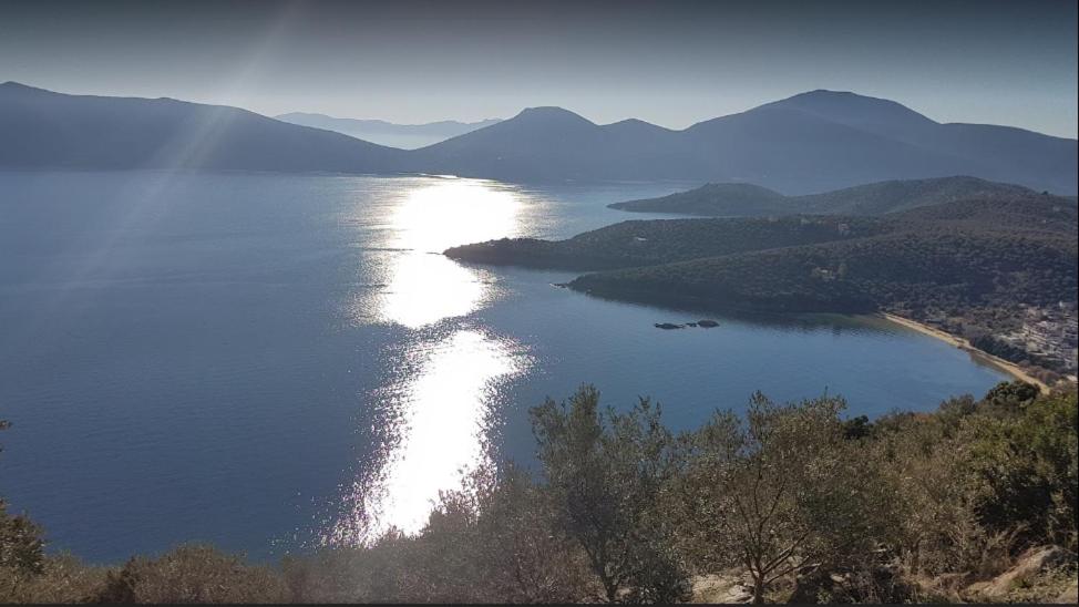 Theoxenia