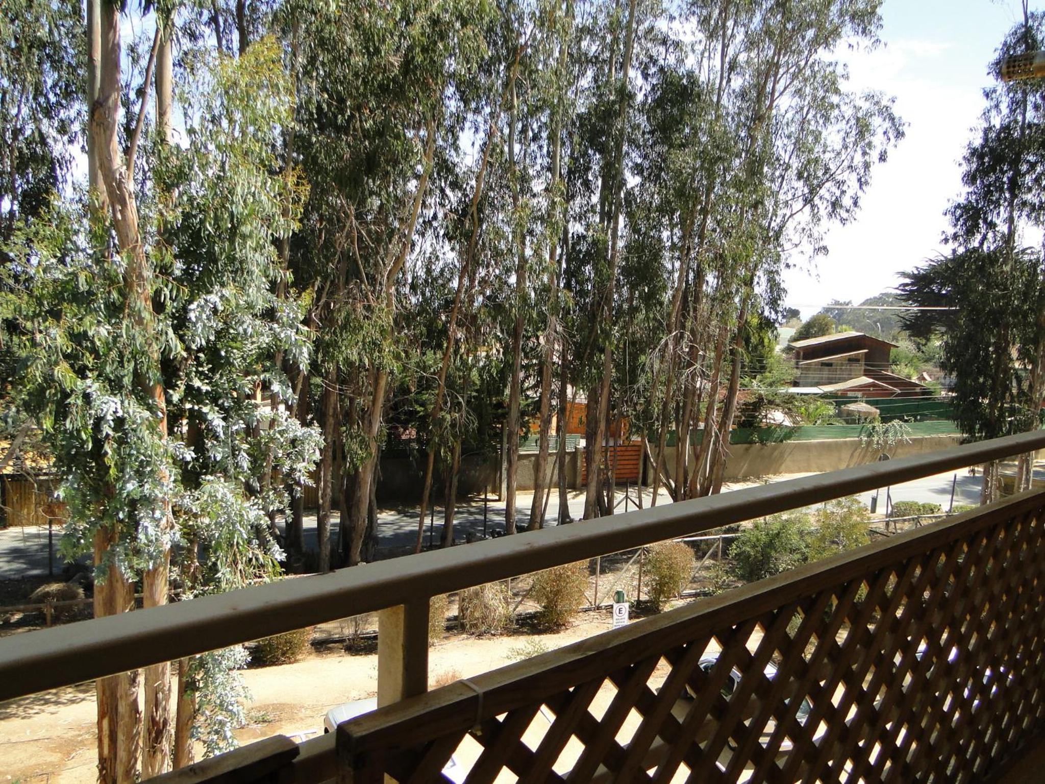 COSTA ALGARROBO