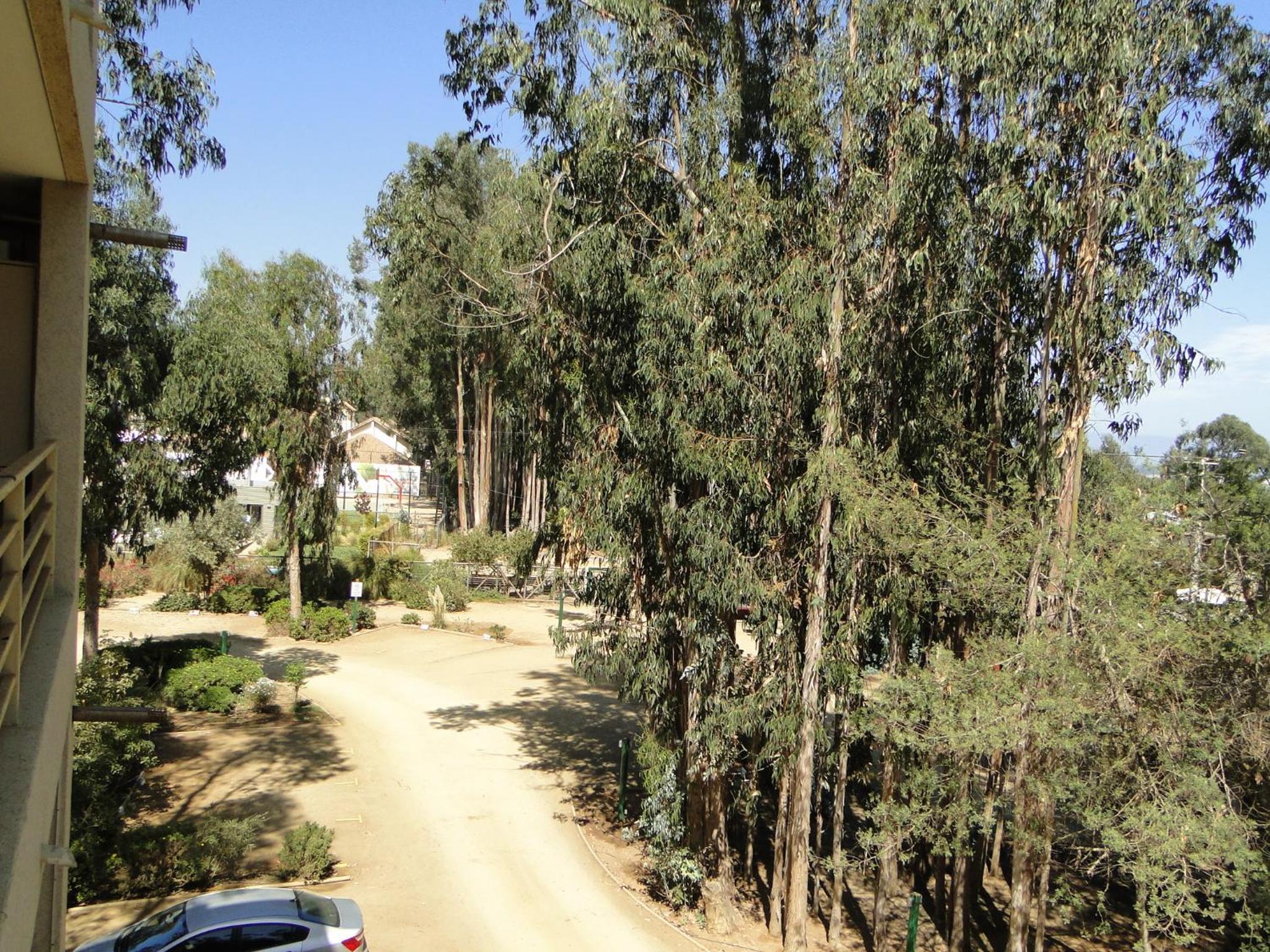 COSTA ALGARROBO