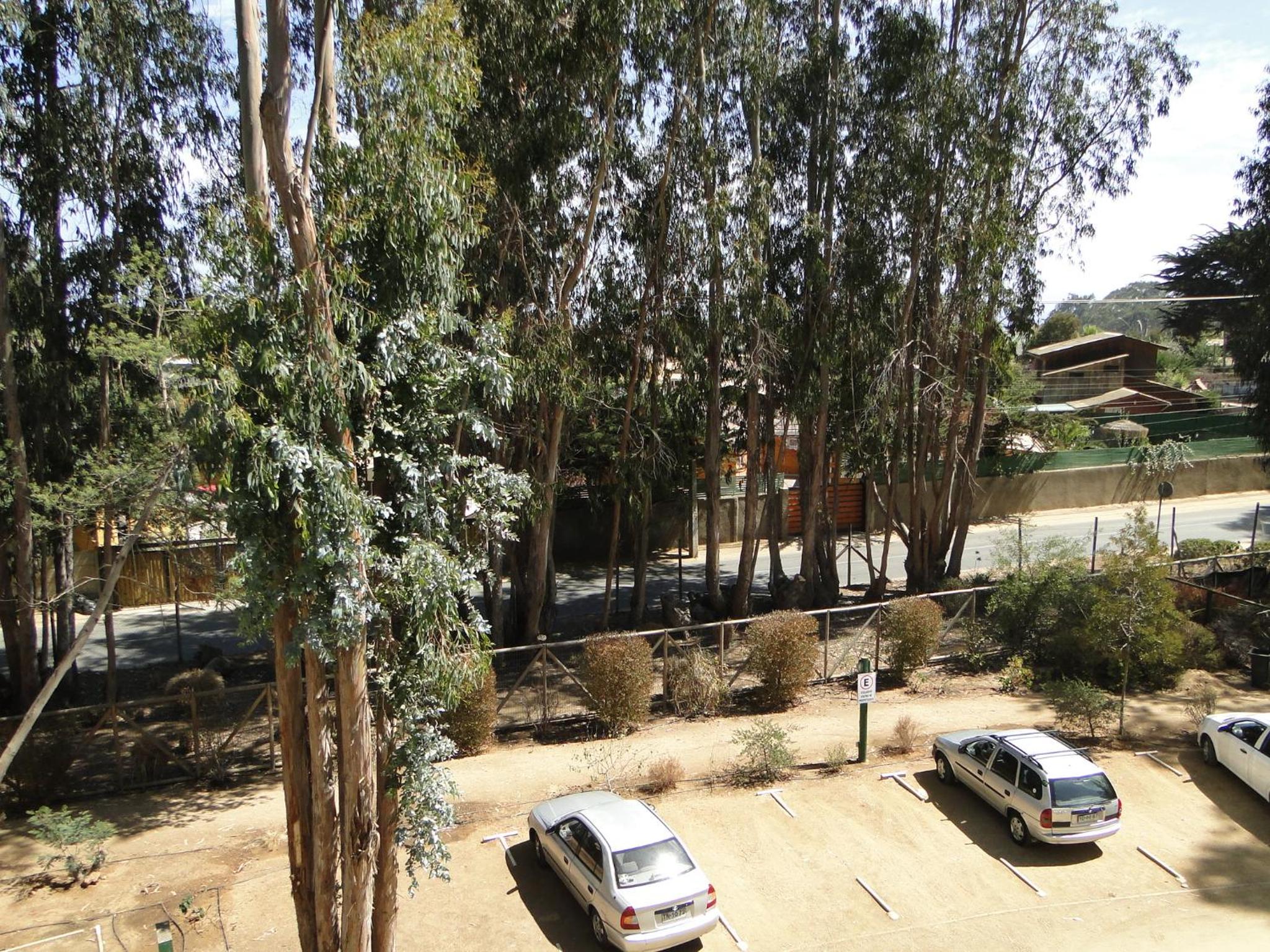 COSTA ALGARROBO