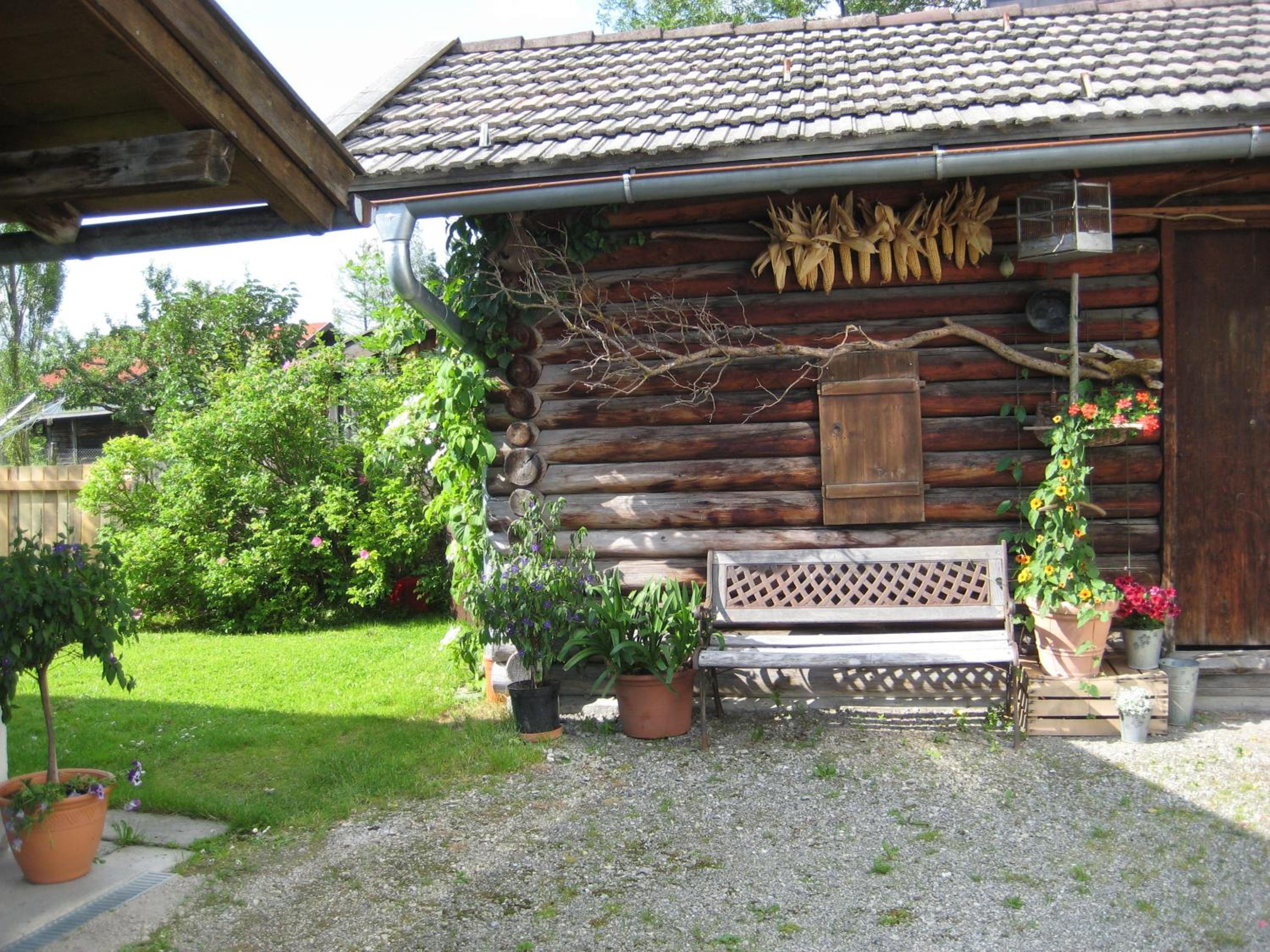 Photo 51