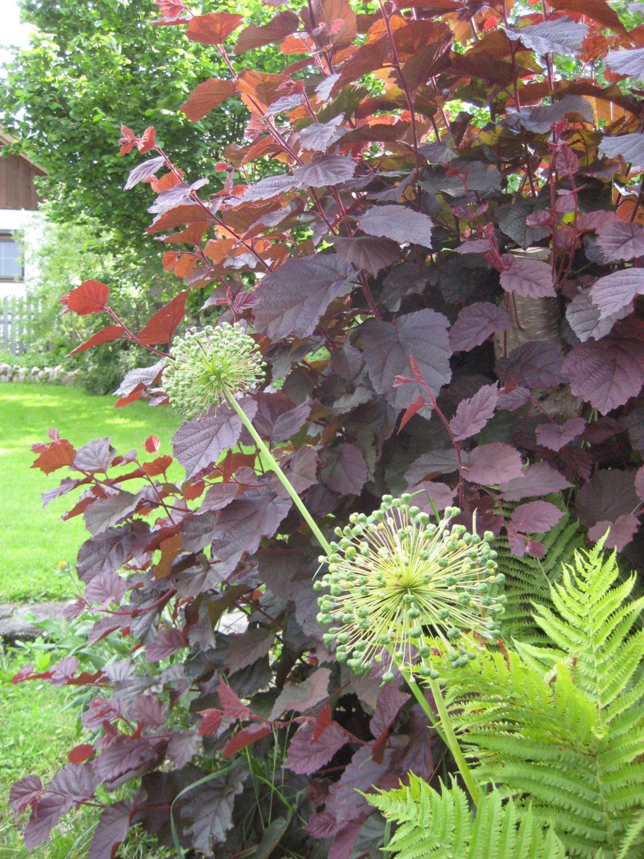 Photo 47