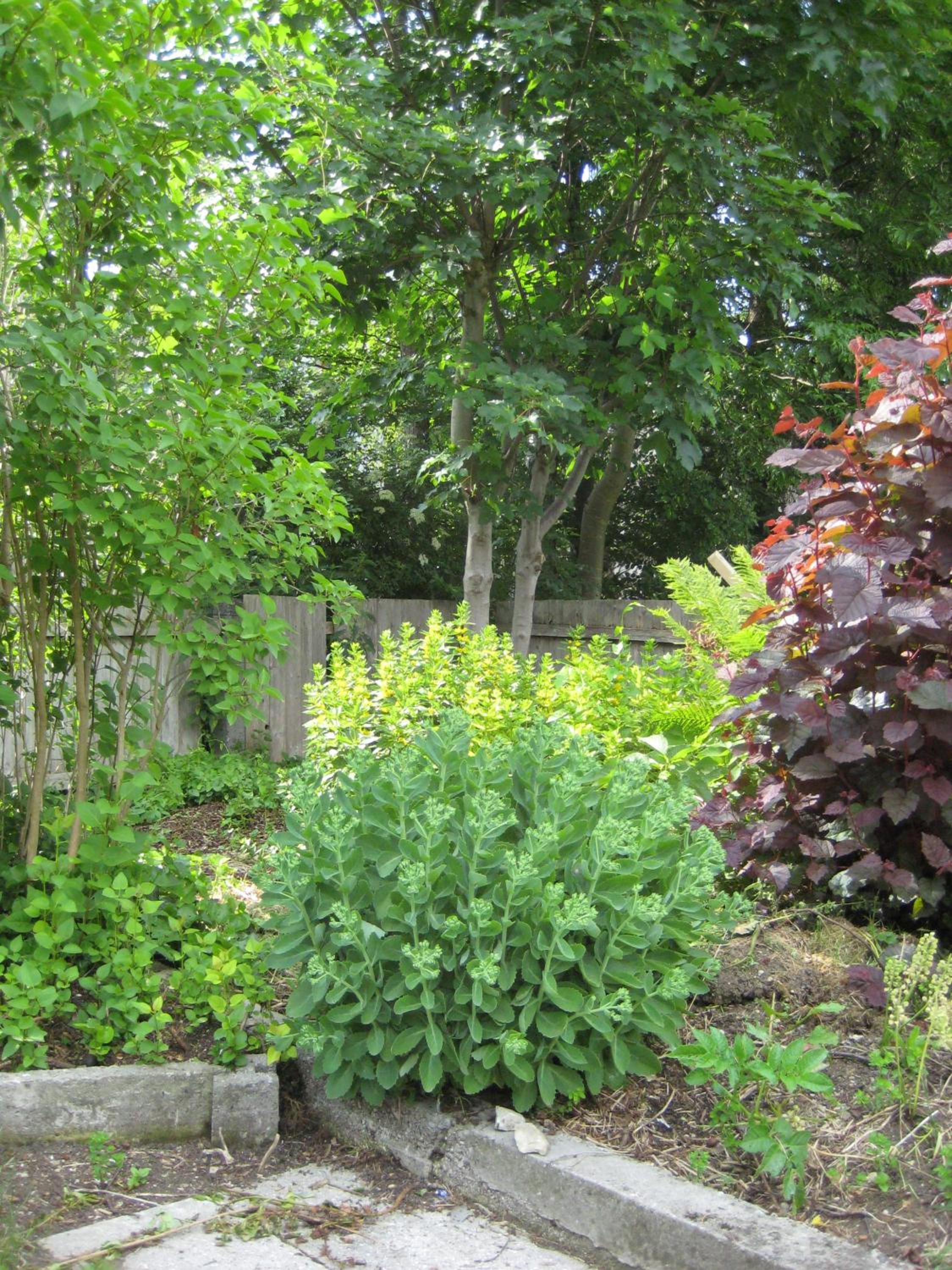Photo 59