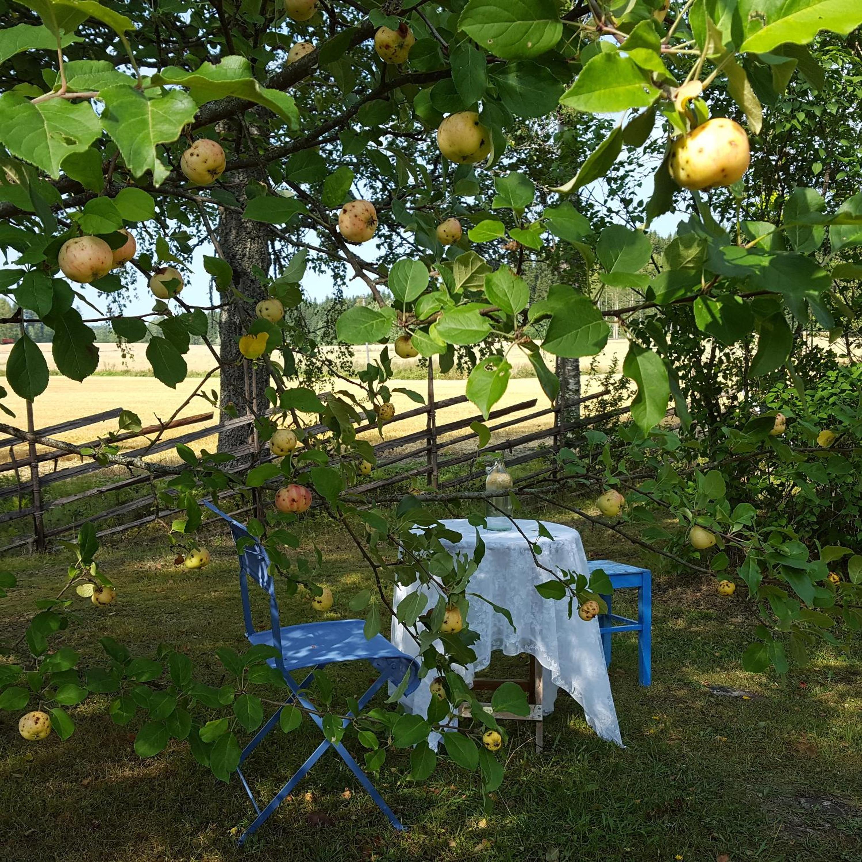 Photo 48