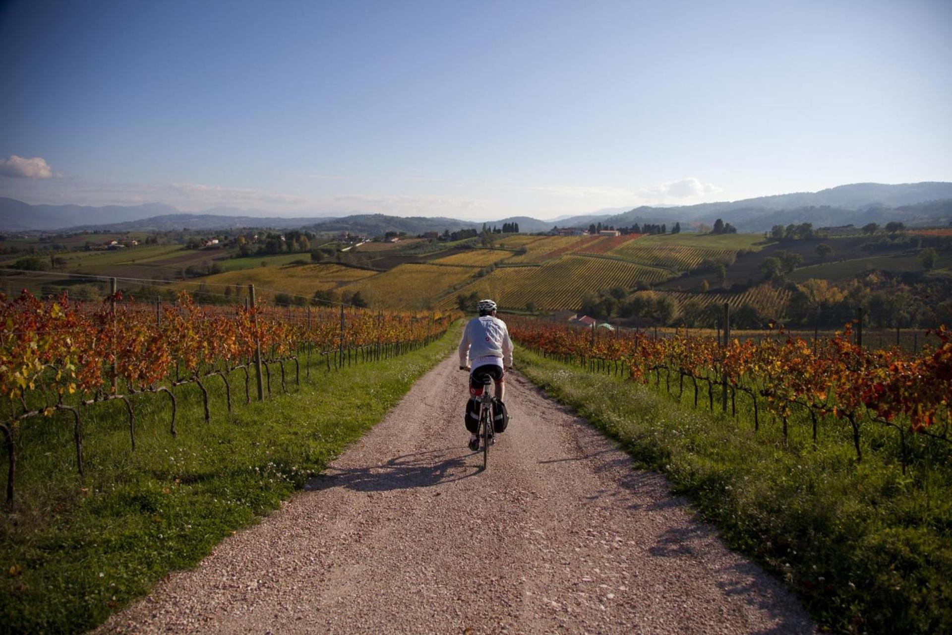 Agriturismo Bio Tra Cielo e Terra