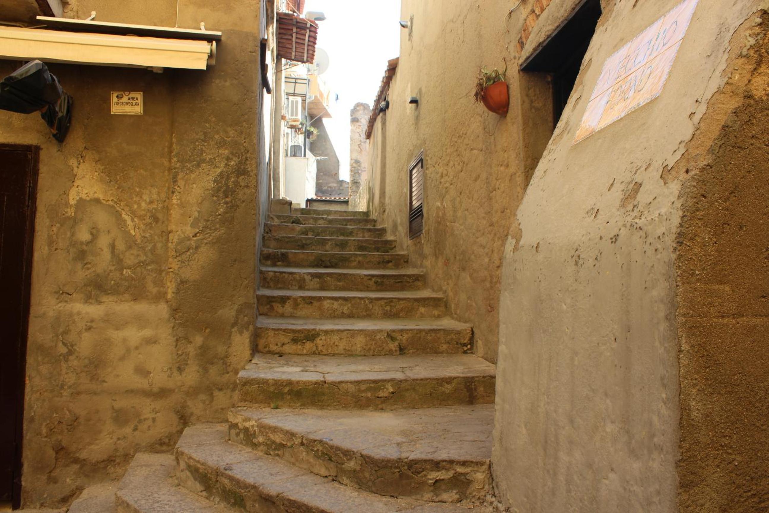 Photo 31