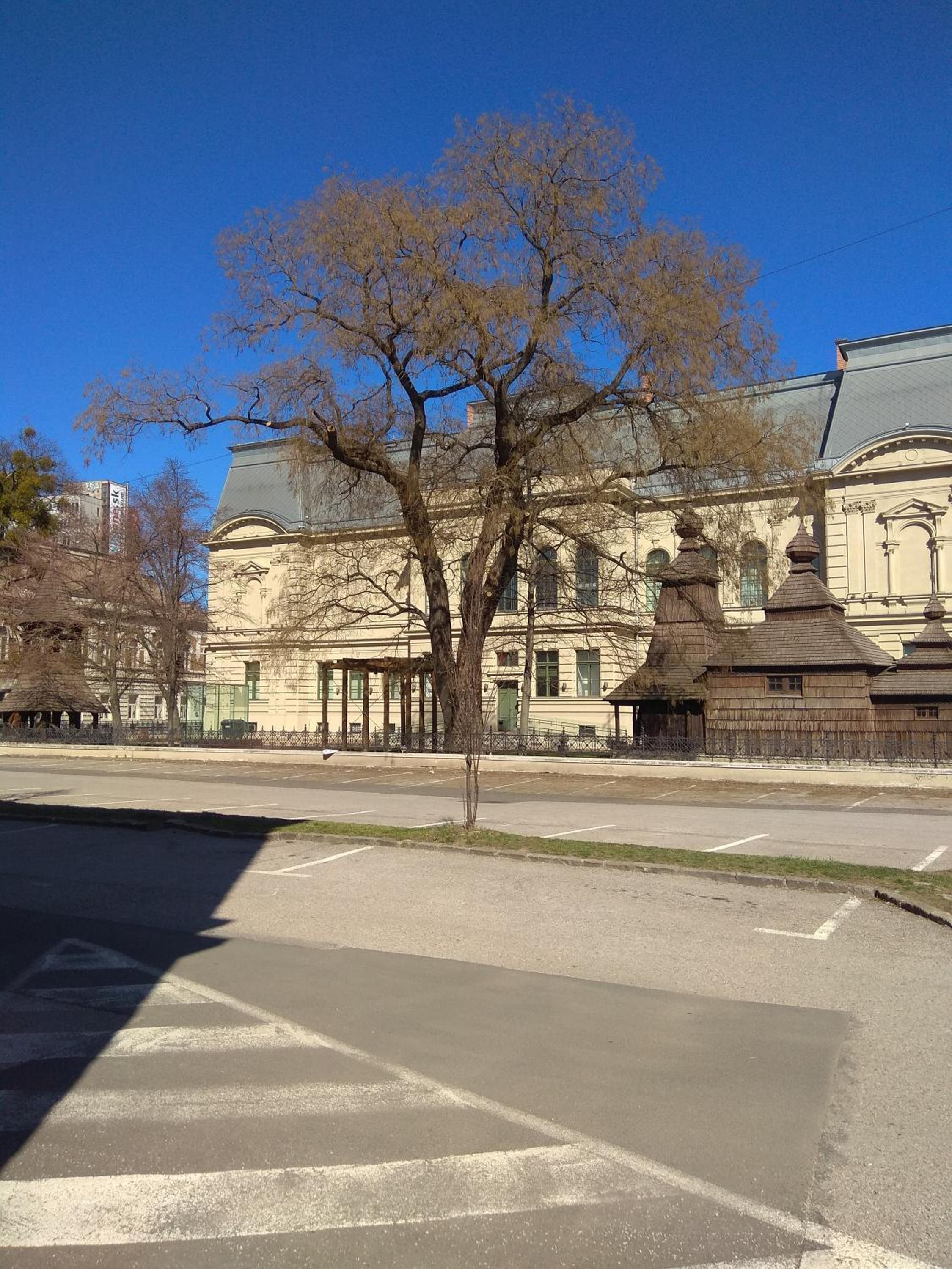 Photo 38