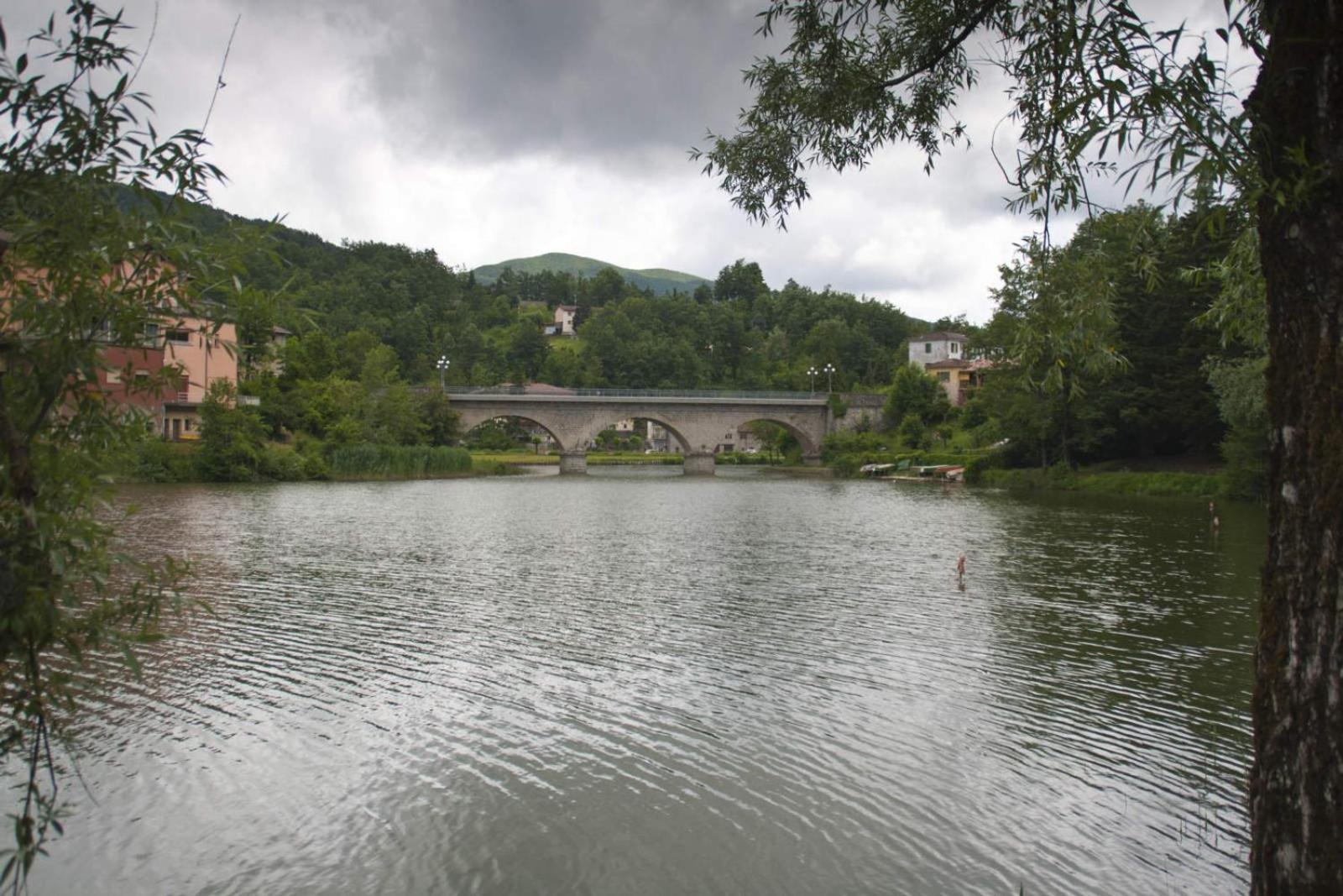 Photo 40