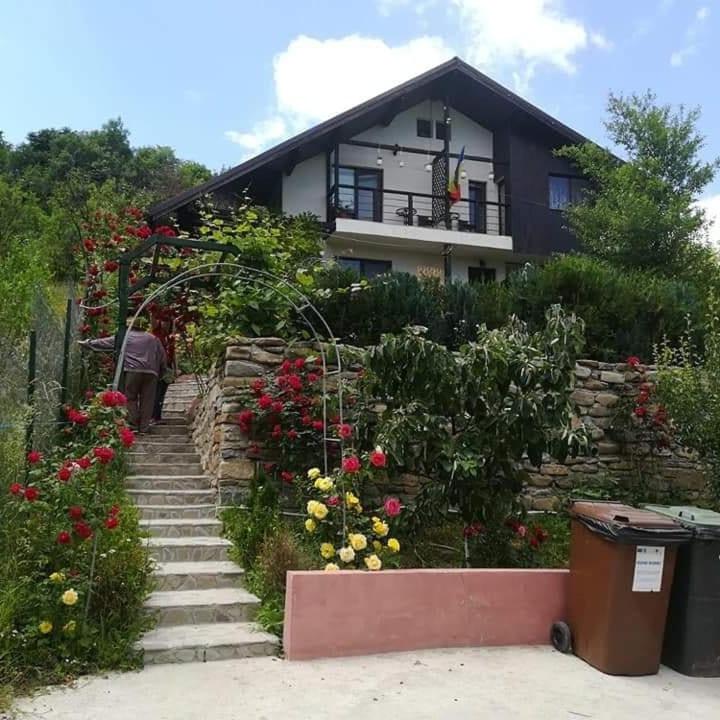 Photo 46