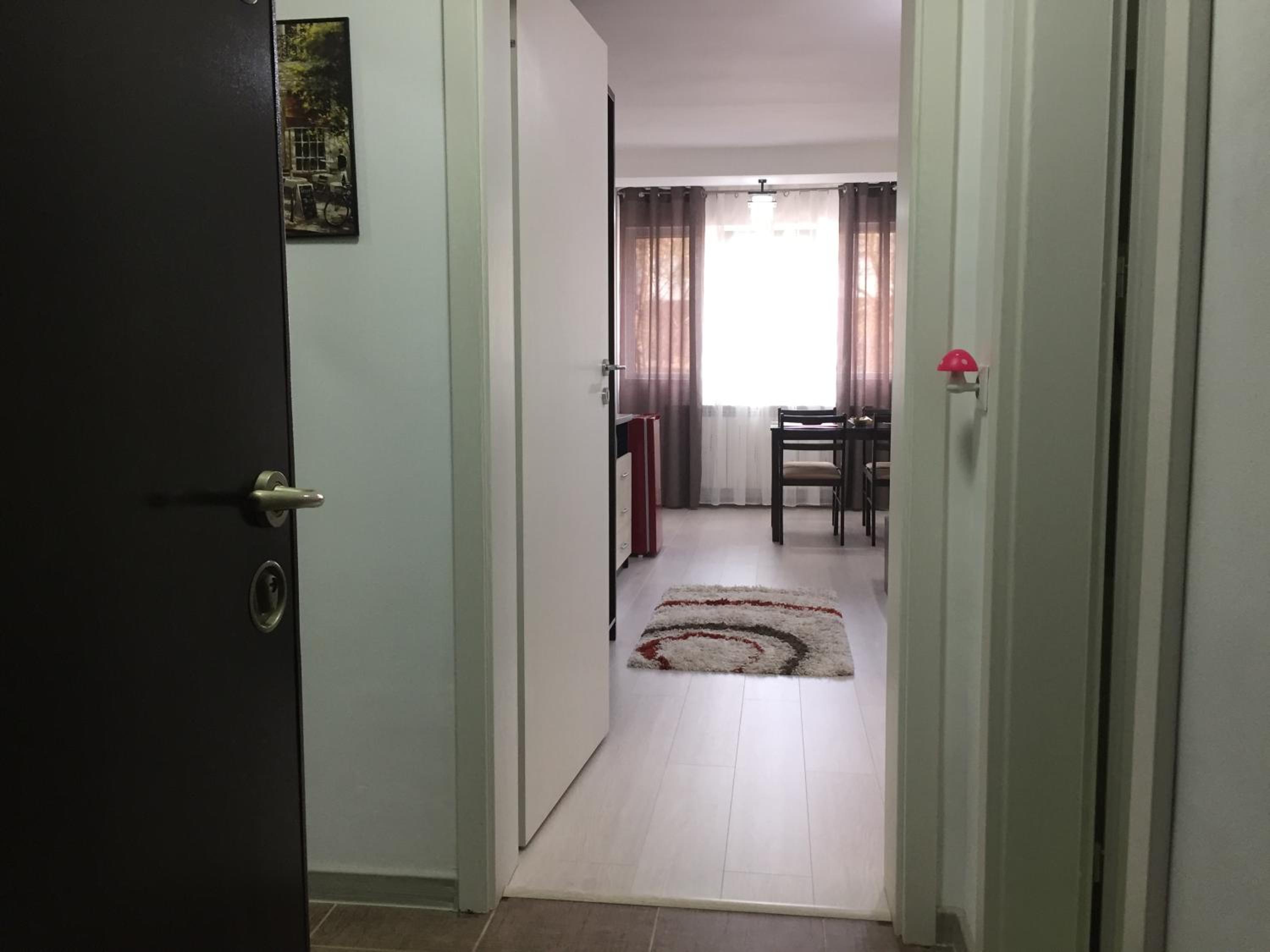Faleza Apartment view 4