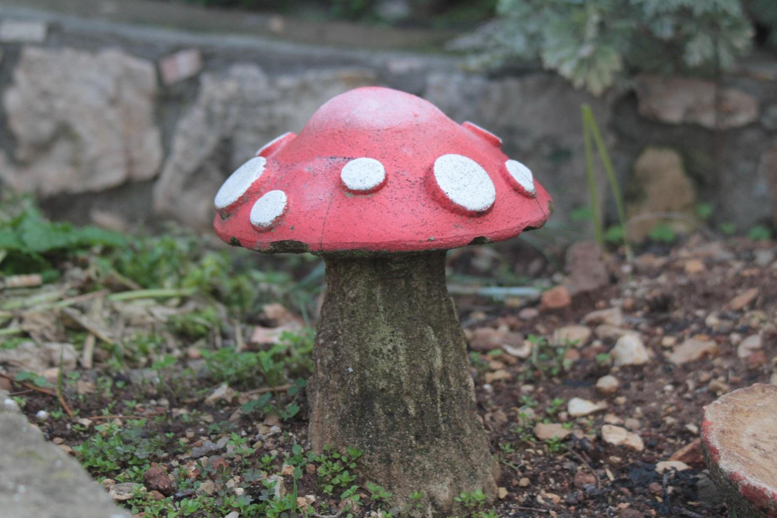Photo 54