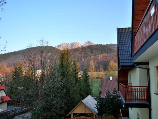Apartament Domino - Krzeptówki 06 view 3