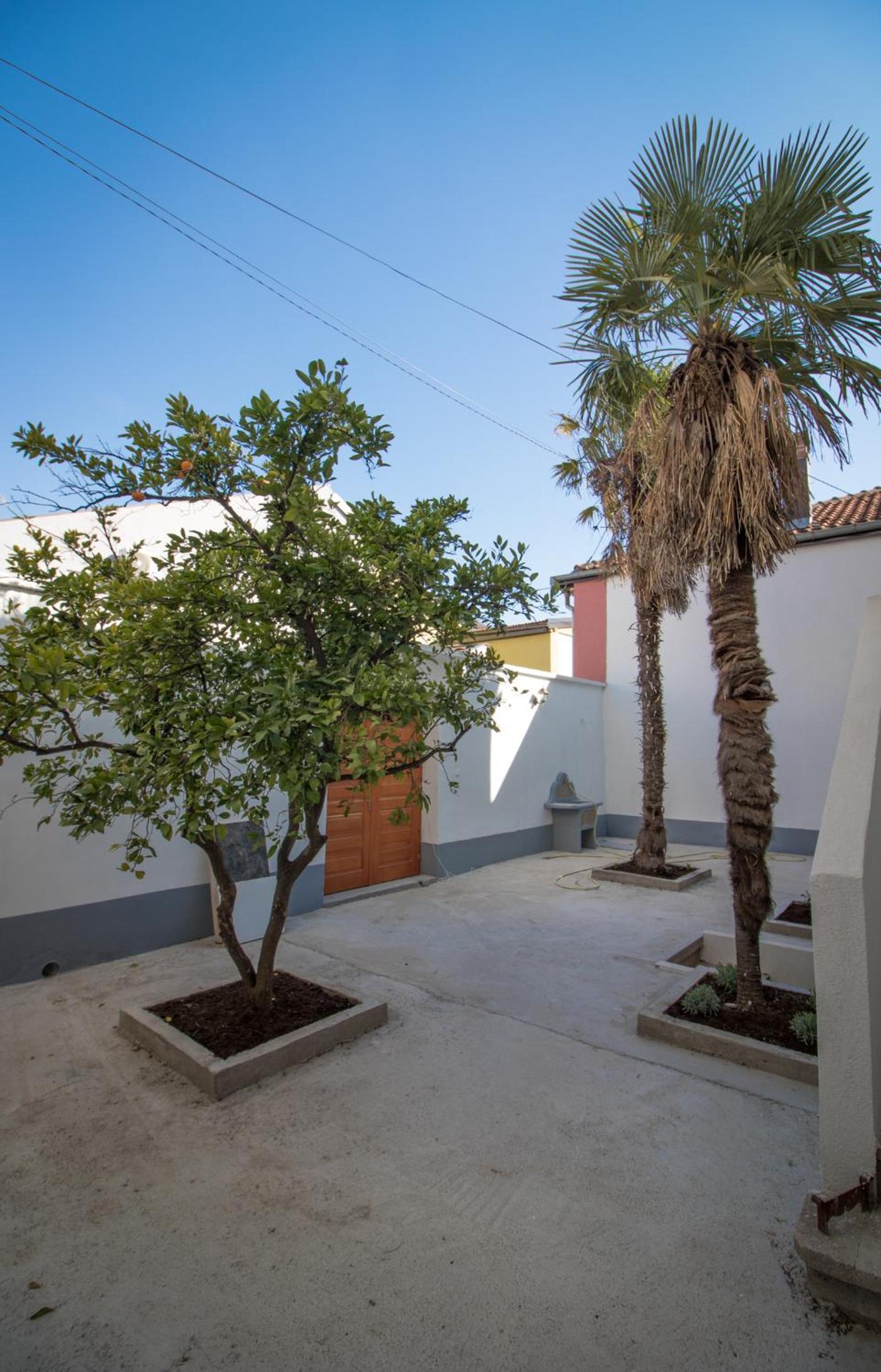Villa M