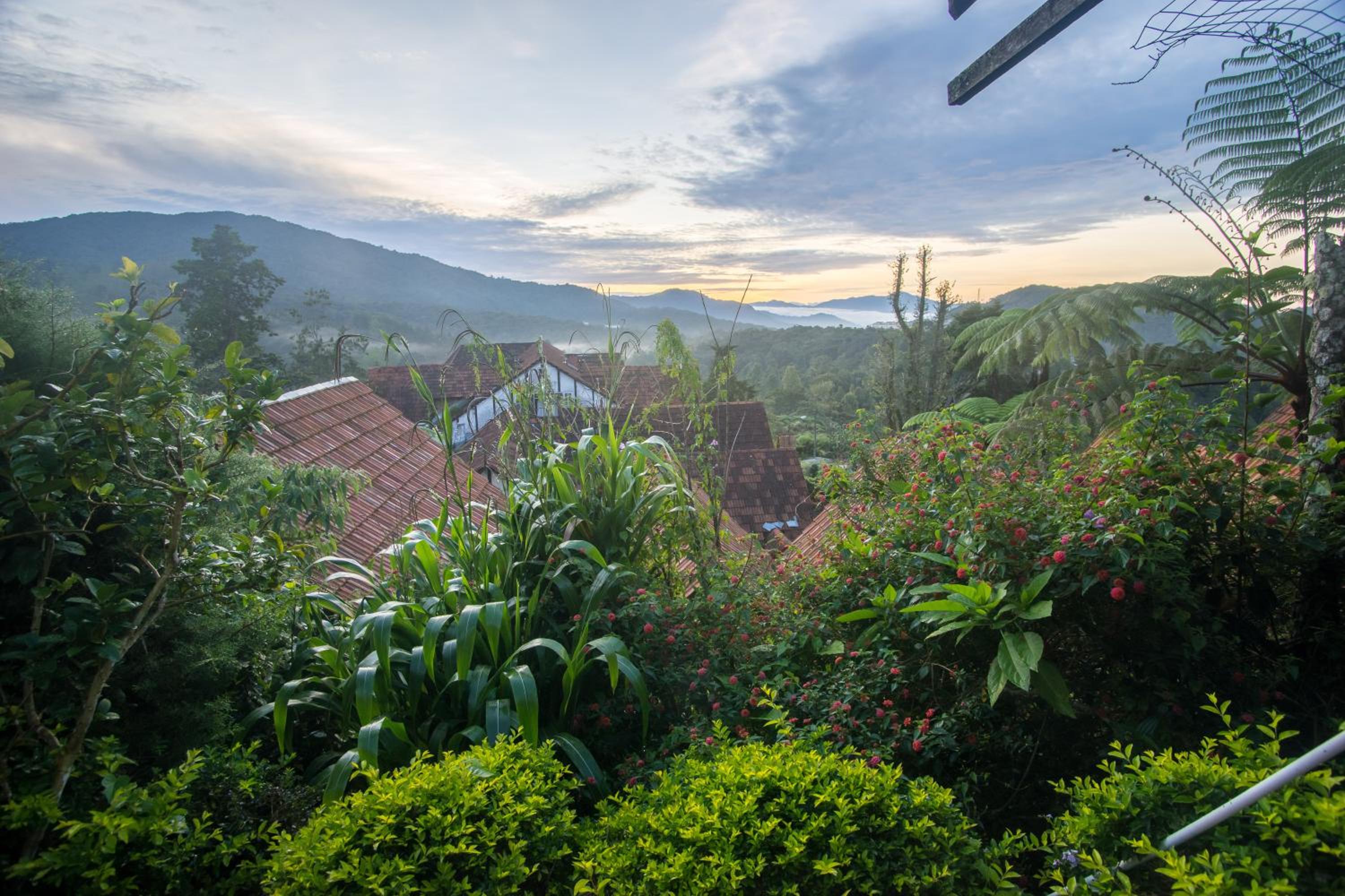 The Bala's Holiday Chalet — photo 15