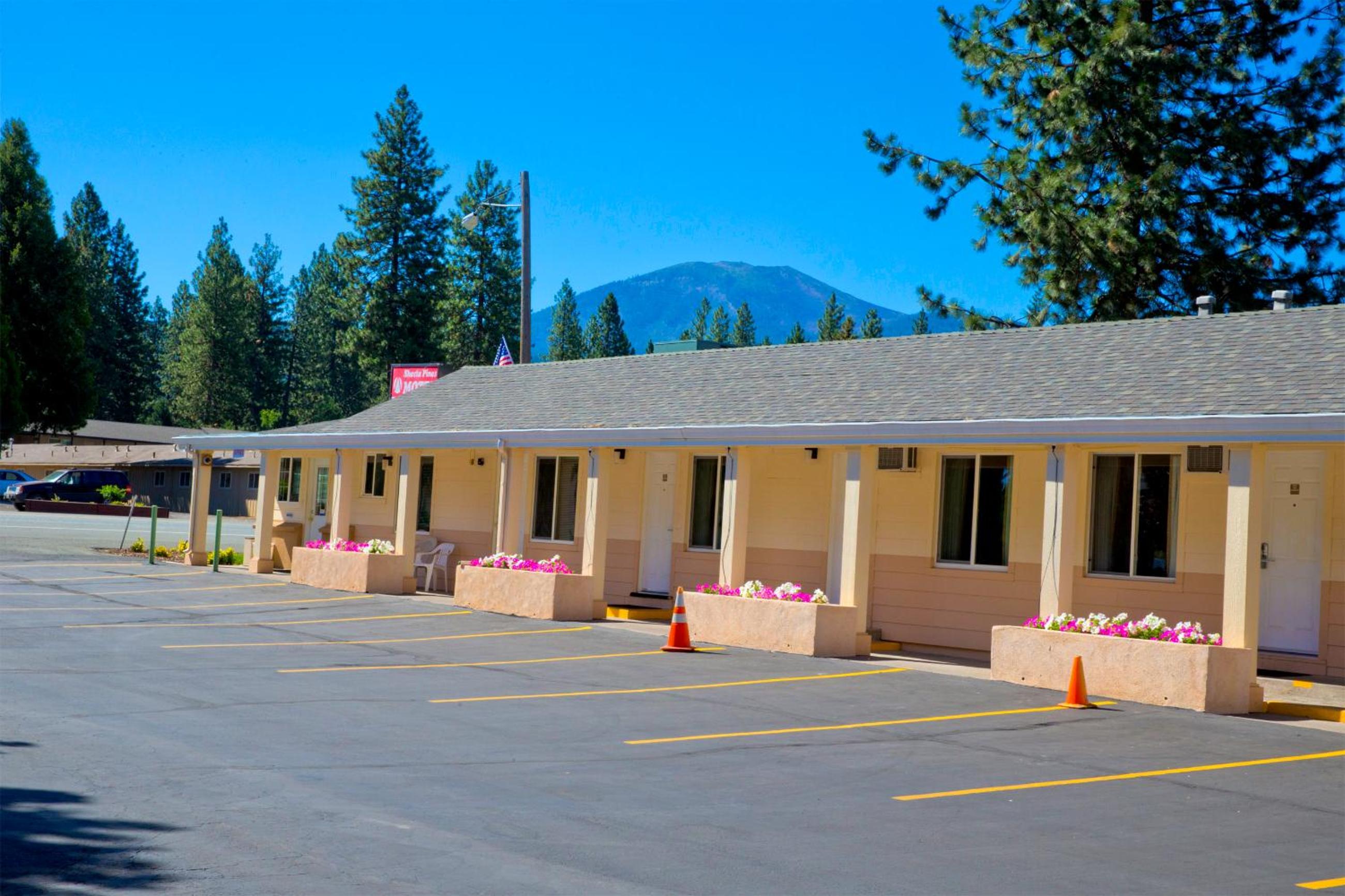 Shasta Pines Motel & Suites