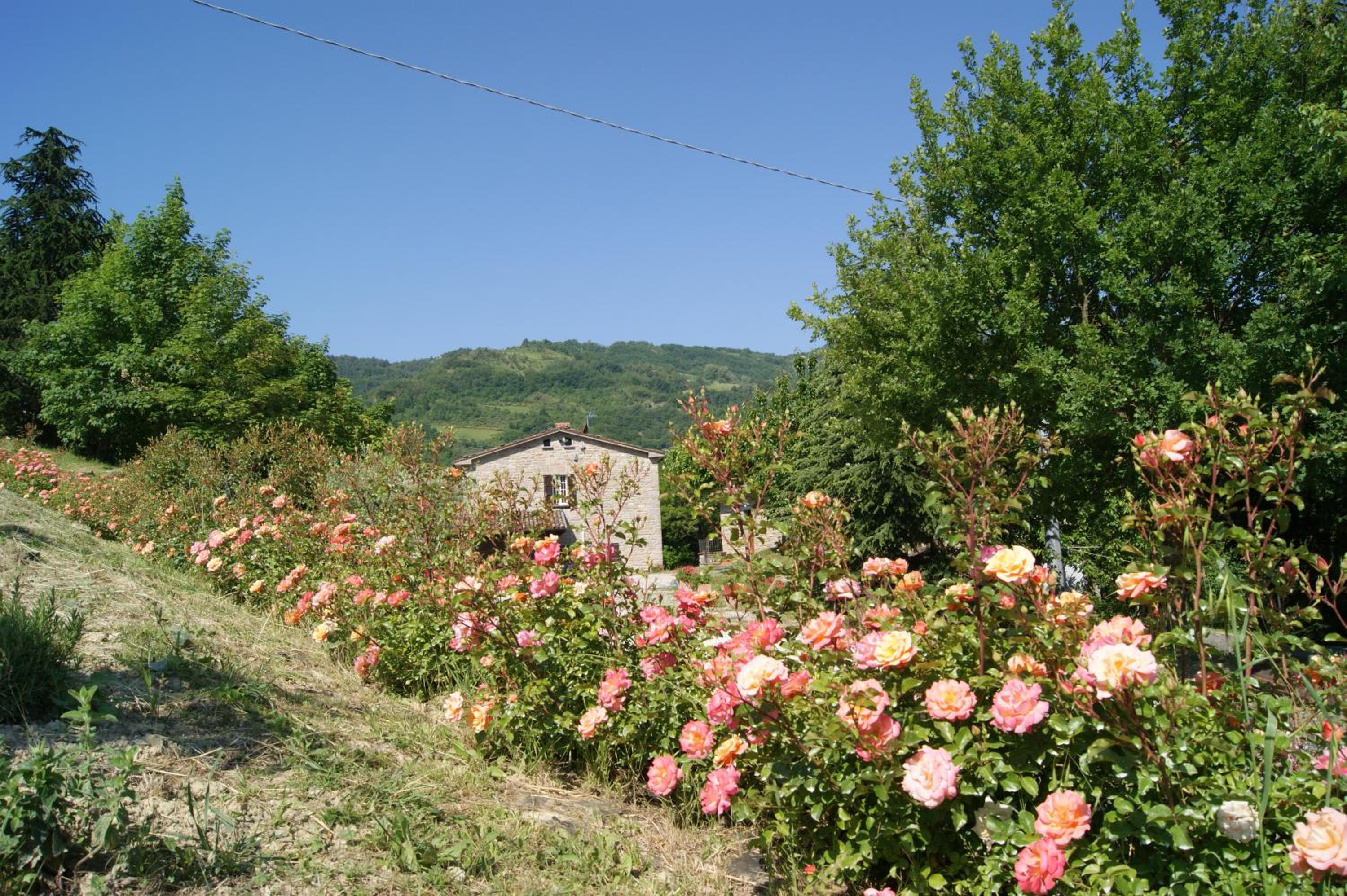 Photo 24