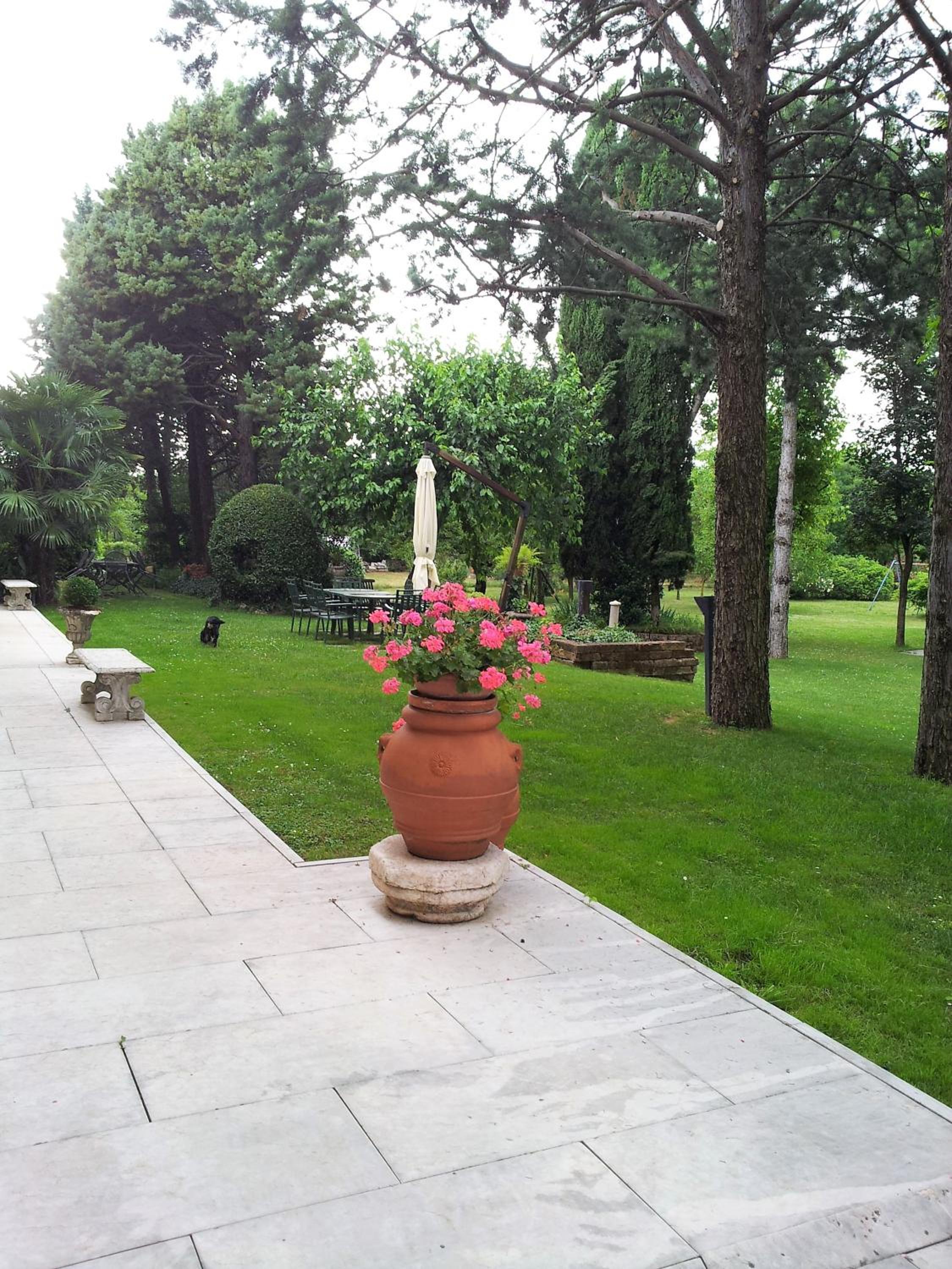 Photo 22