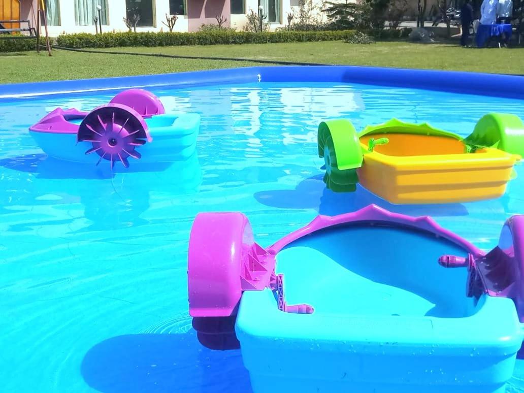 activities & amenities