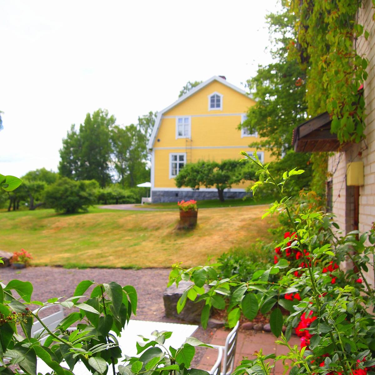 garden