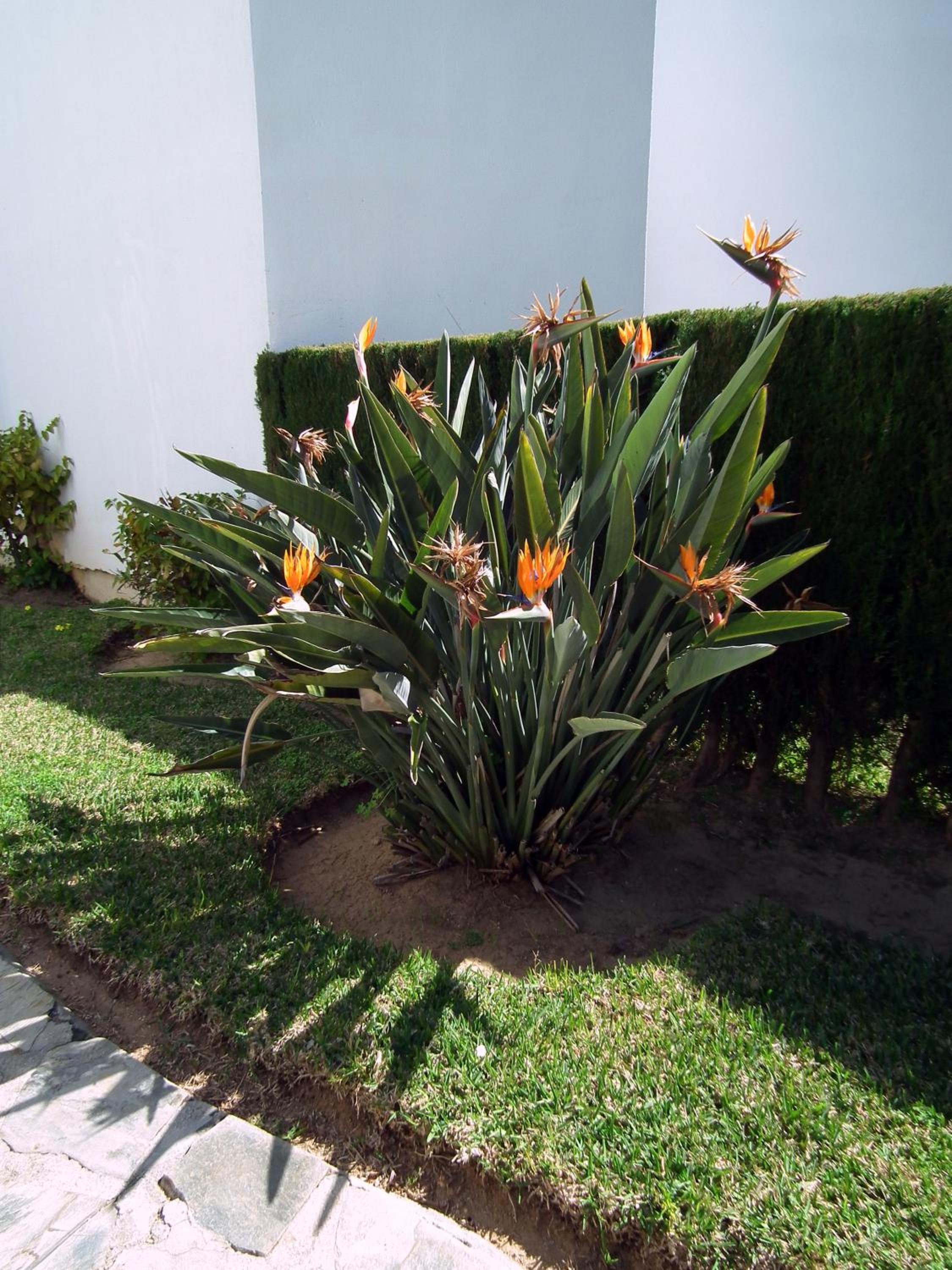 Apartamento Nerja Playa Burriana