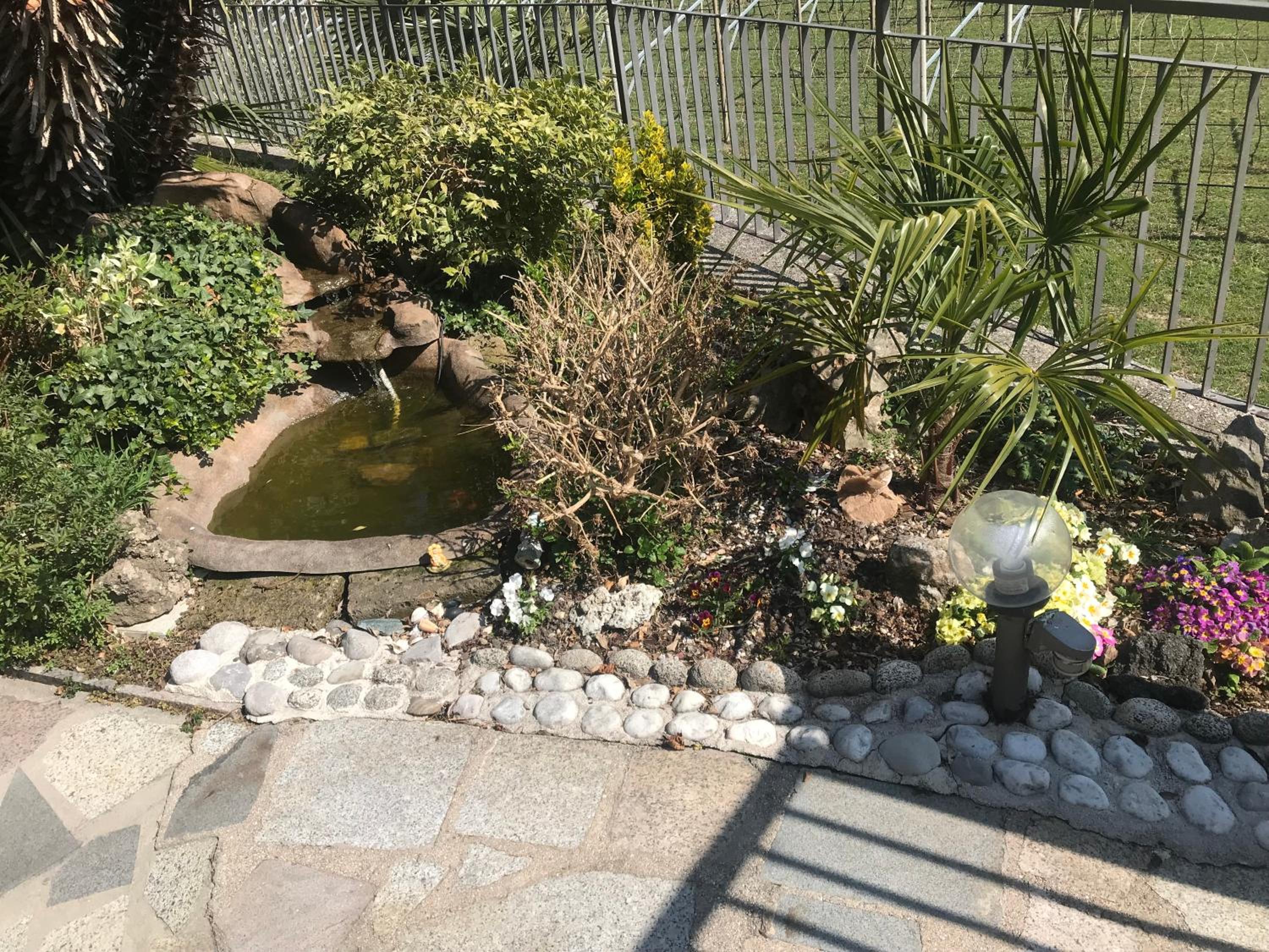 Photo 14