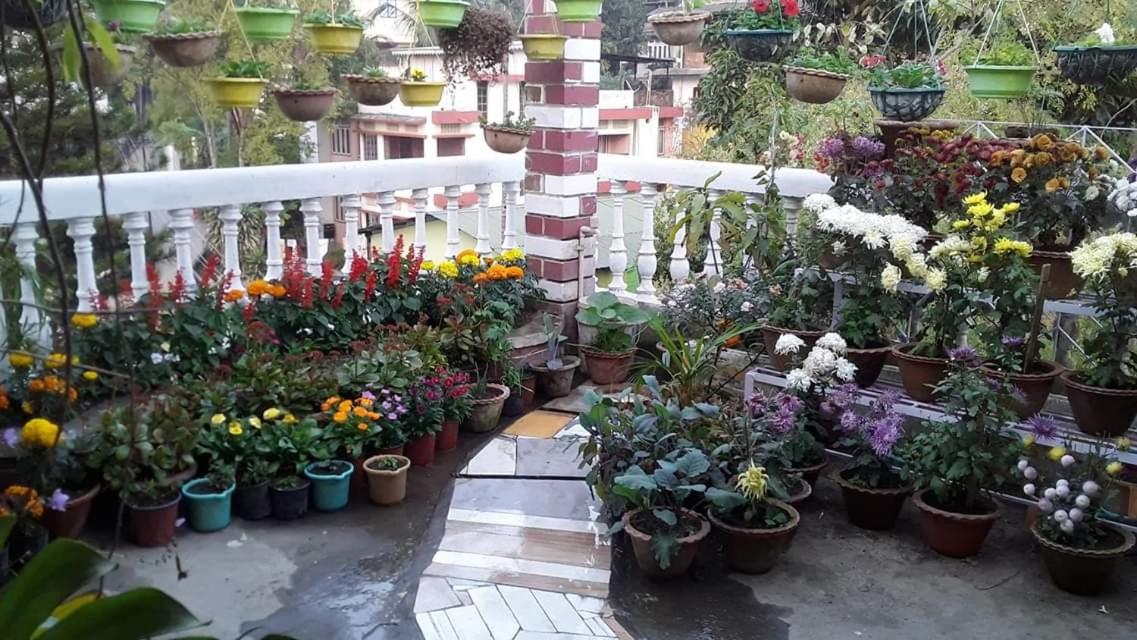 Madhumita Homestay