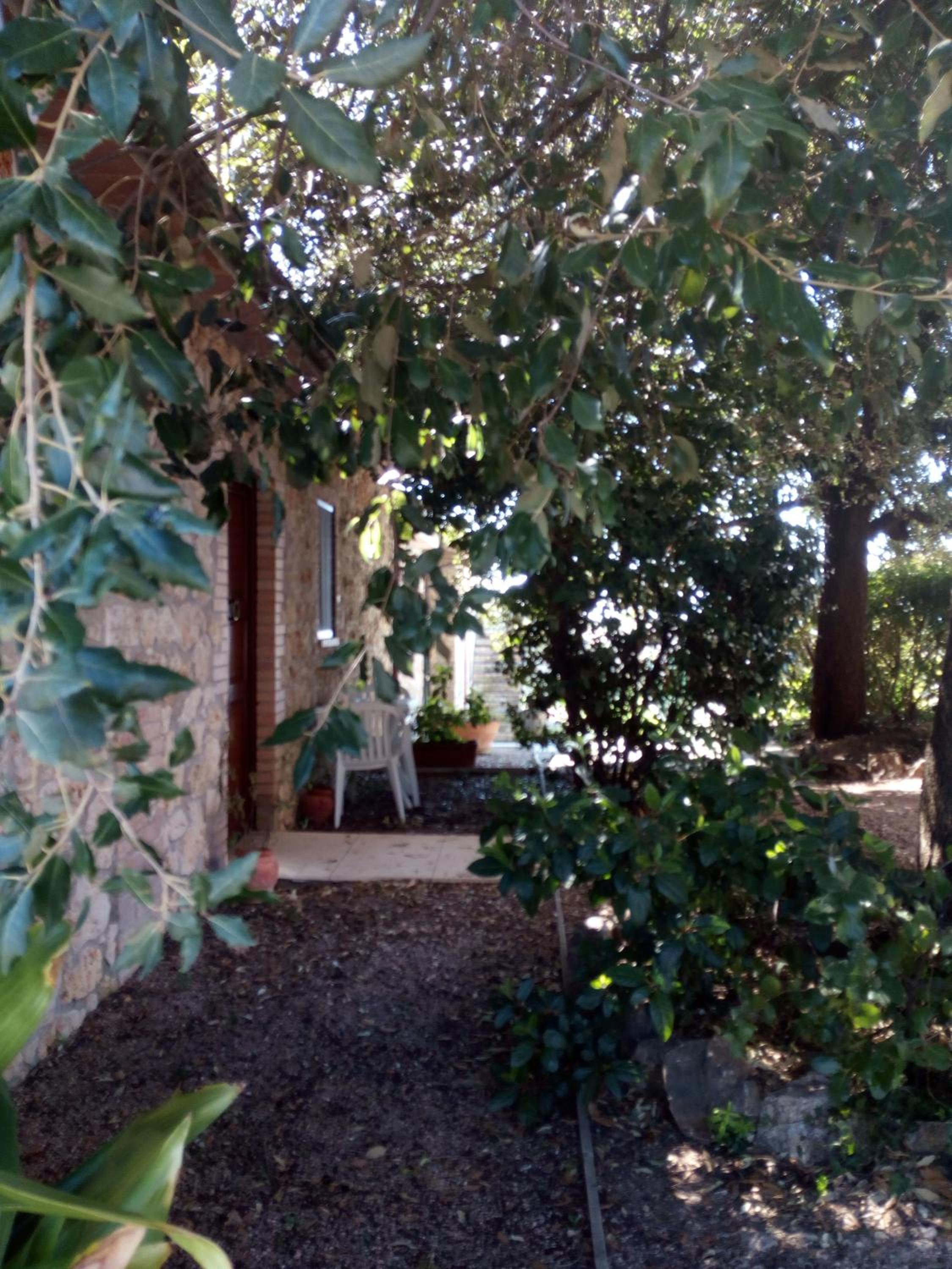Photo 49