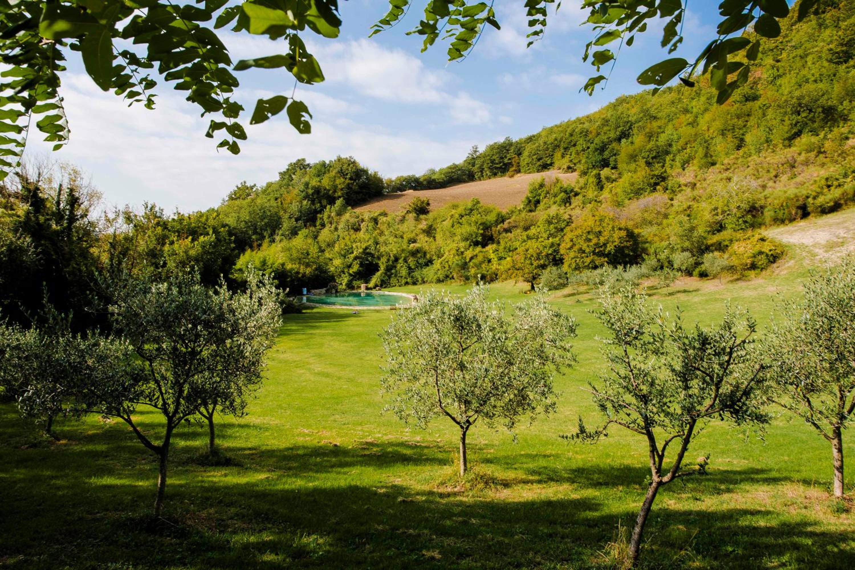 Agriturismo Paradiso41