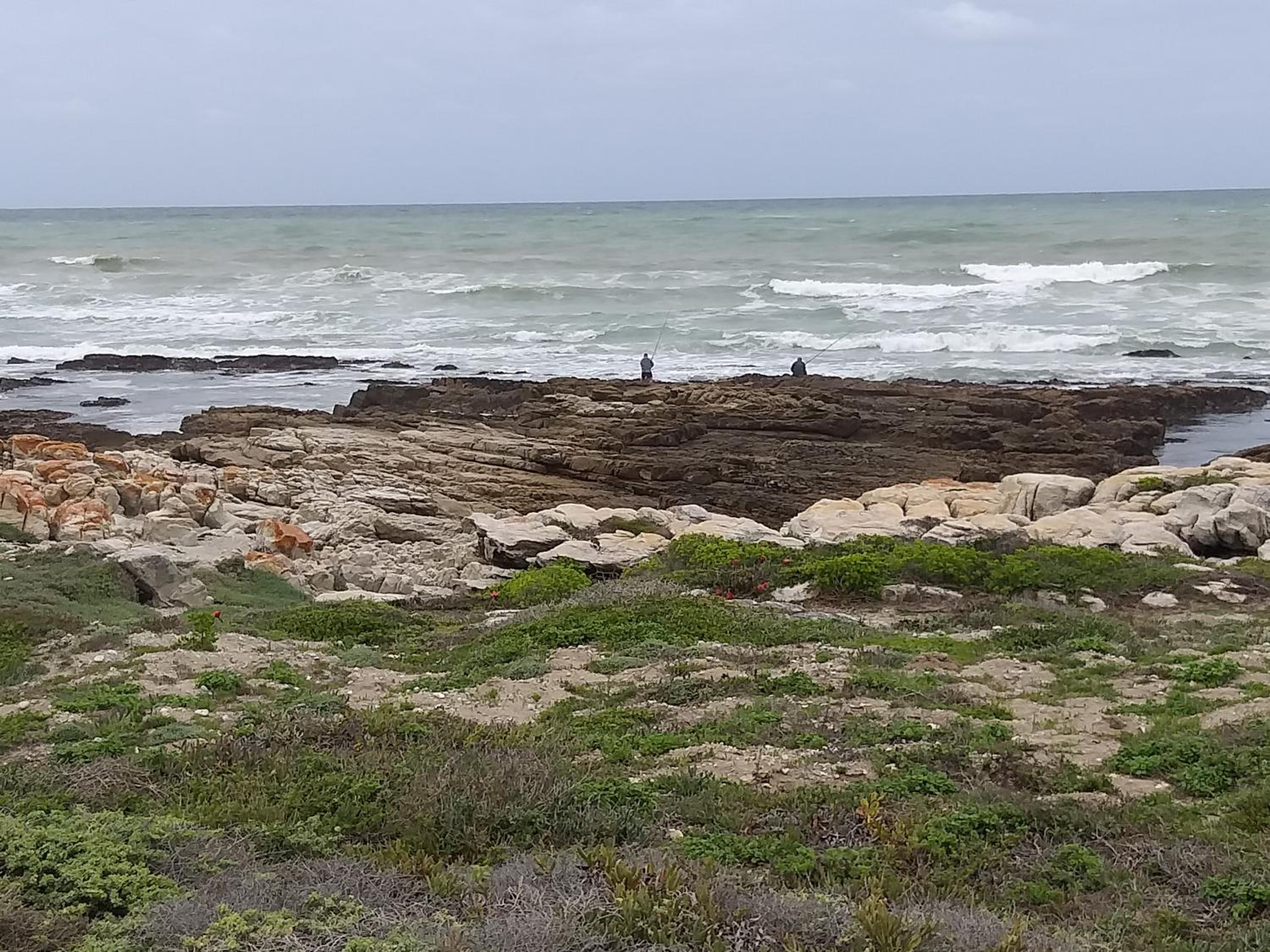 The Cove view 5