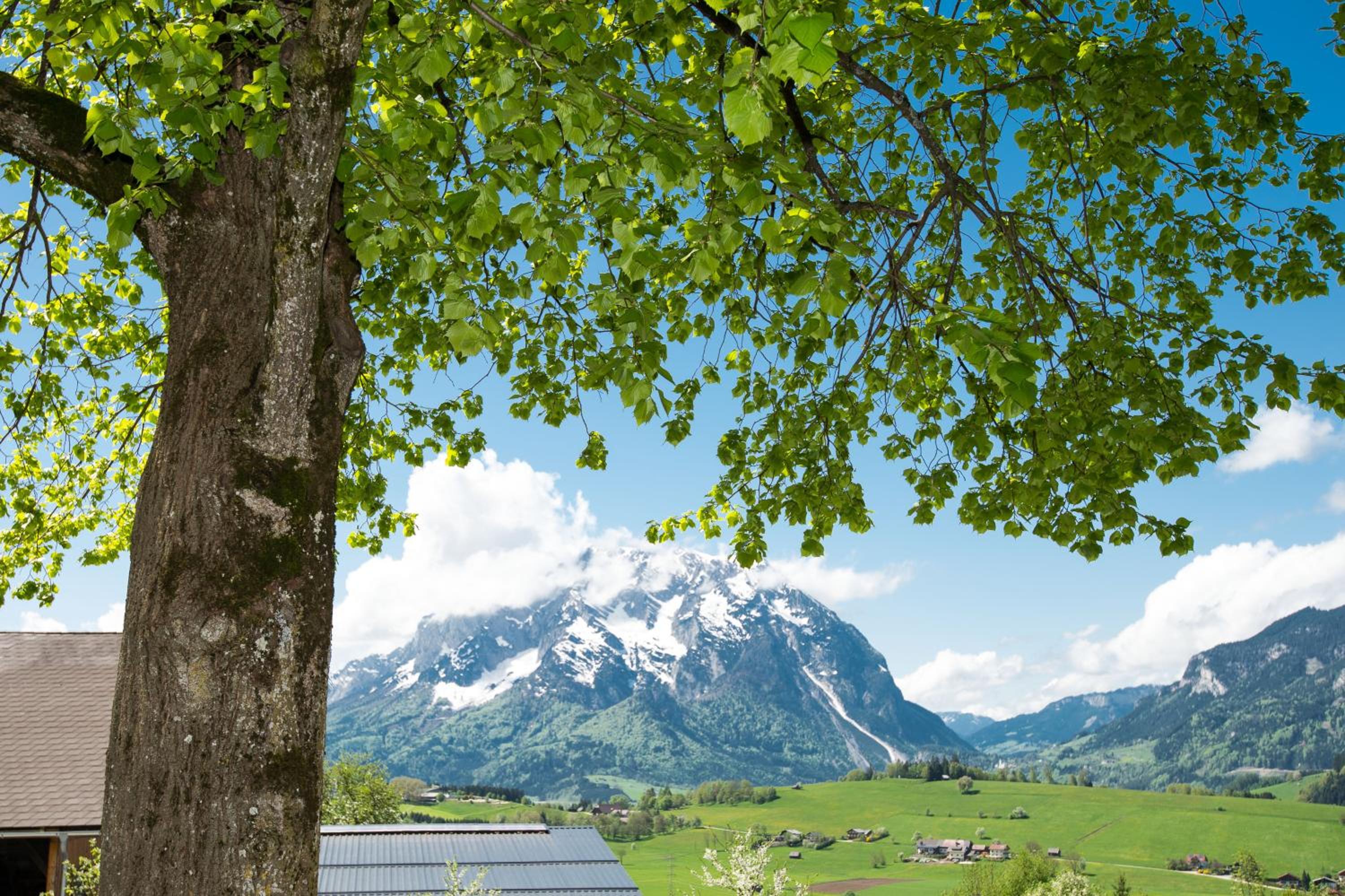 Hüttstädterhof Familie Pötsch