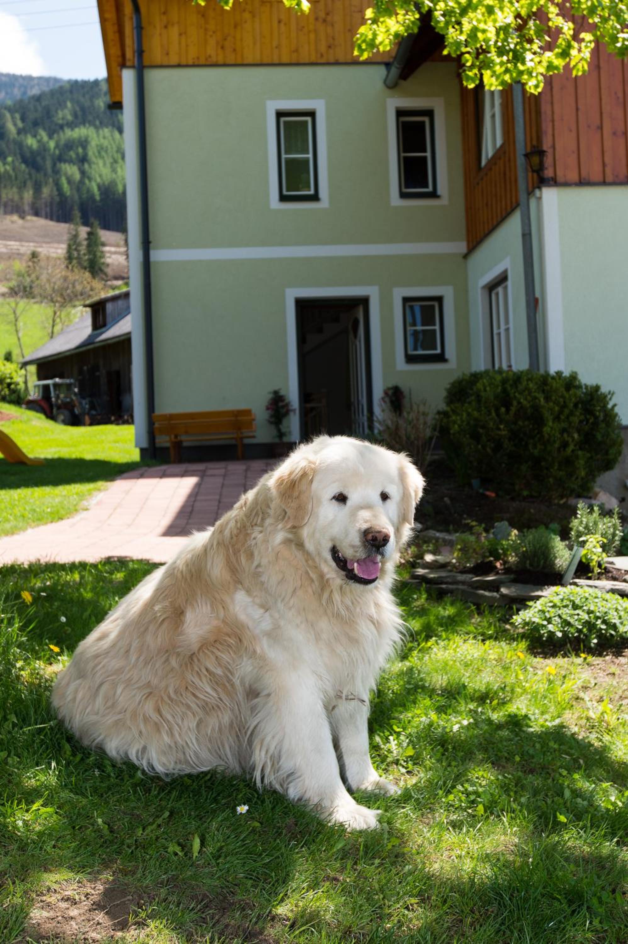 Hüttstädterhof Familie Pötsch