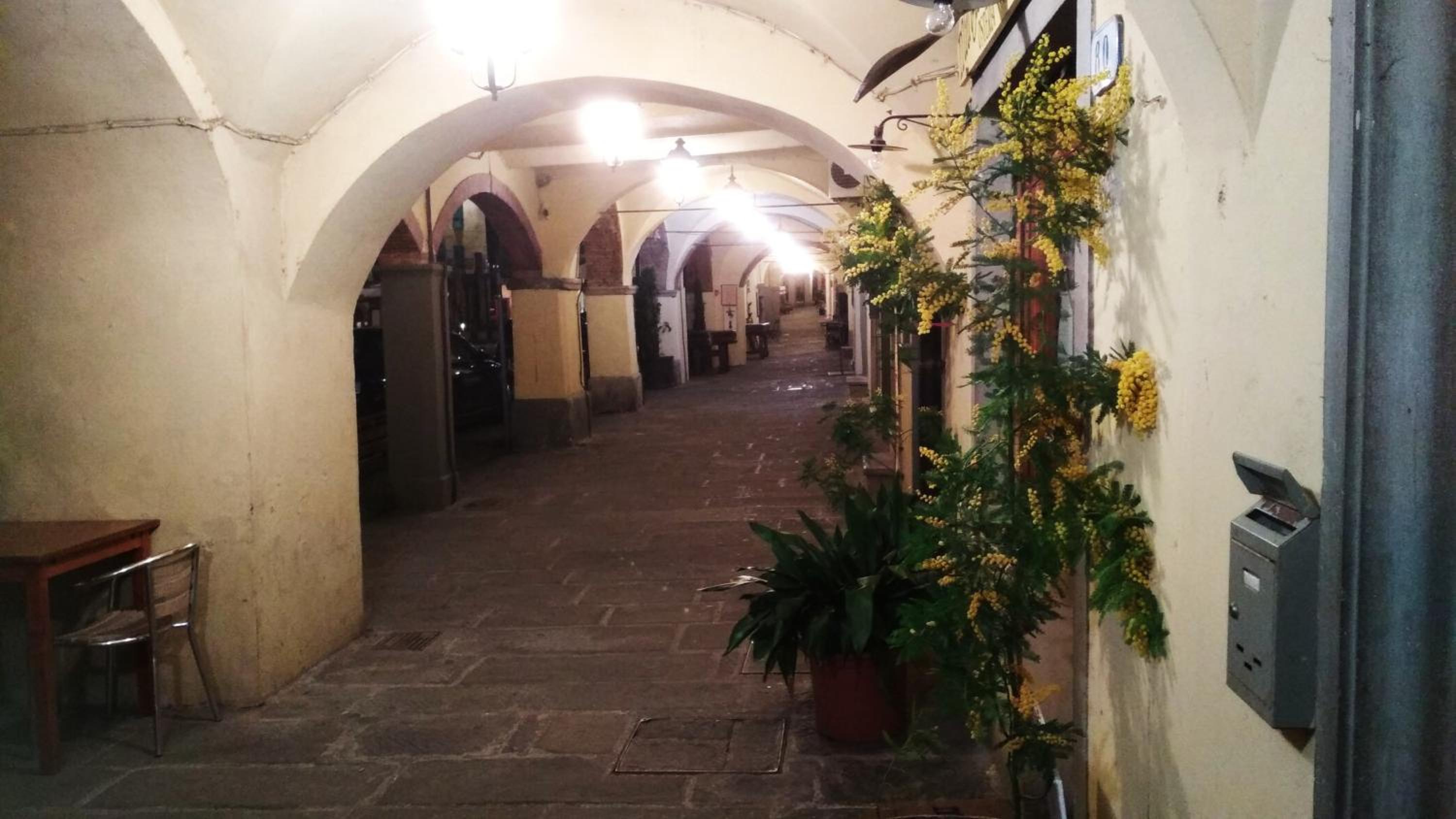 Il Nido nel Chianti photo 3