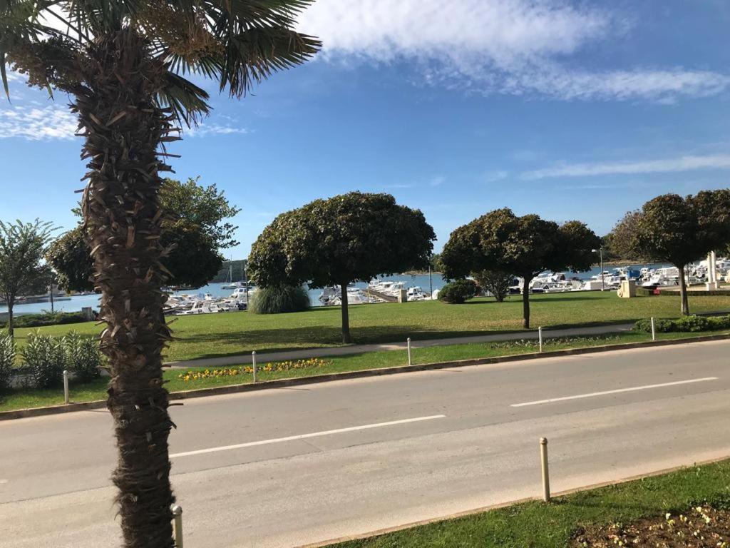Apartment Natura 7