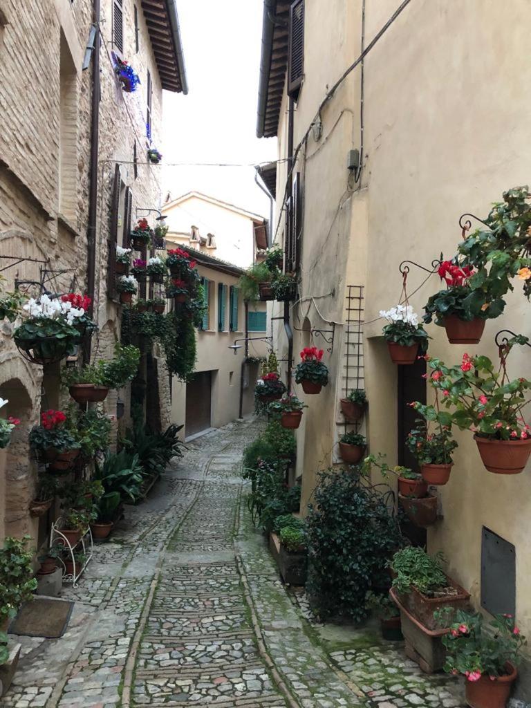 La Casa di Smilla - (Bevagna) view 4