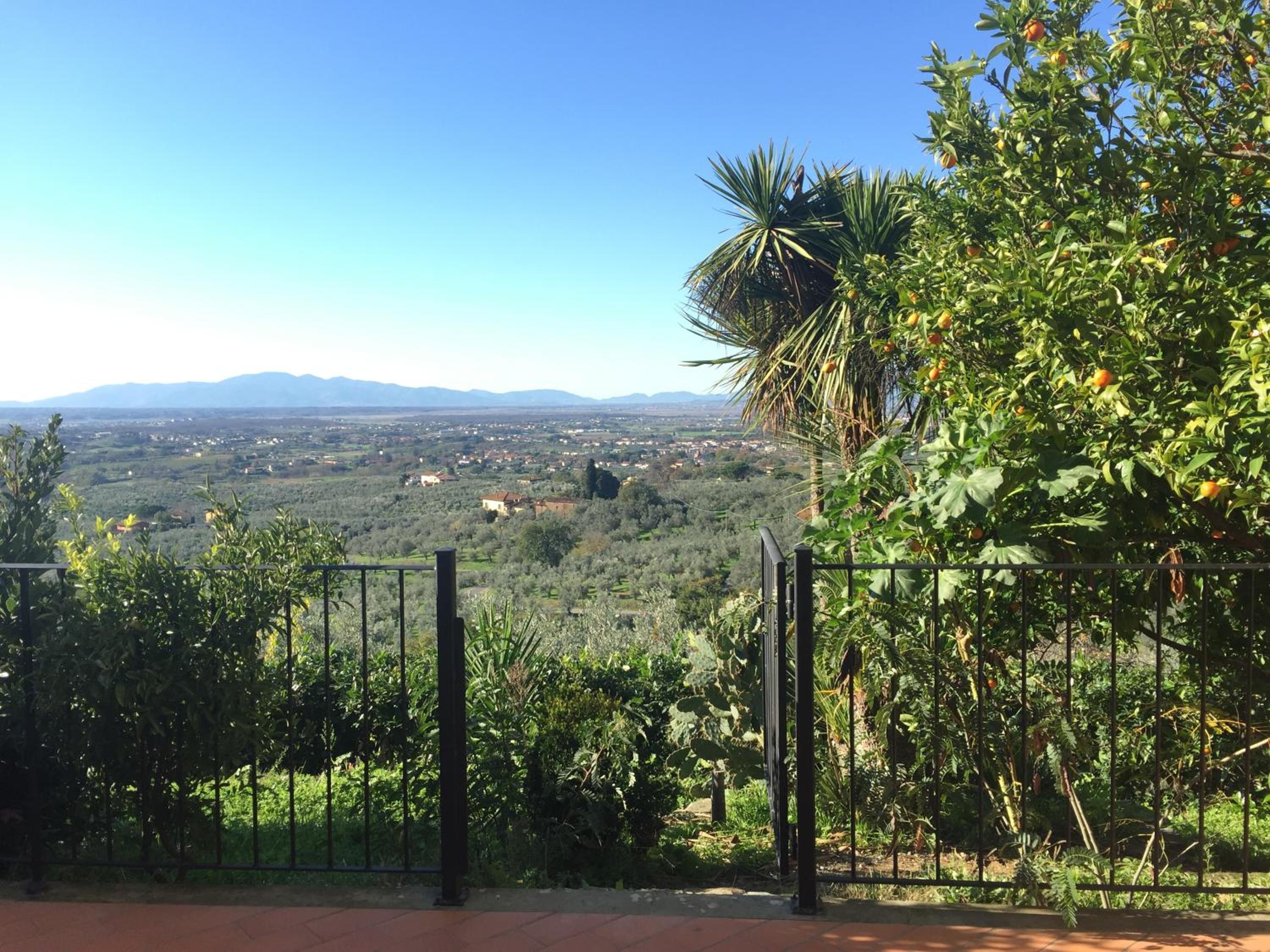 Agriturismo Podere Rondinaio view 3